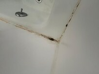 Mold in bathroom