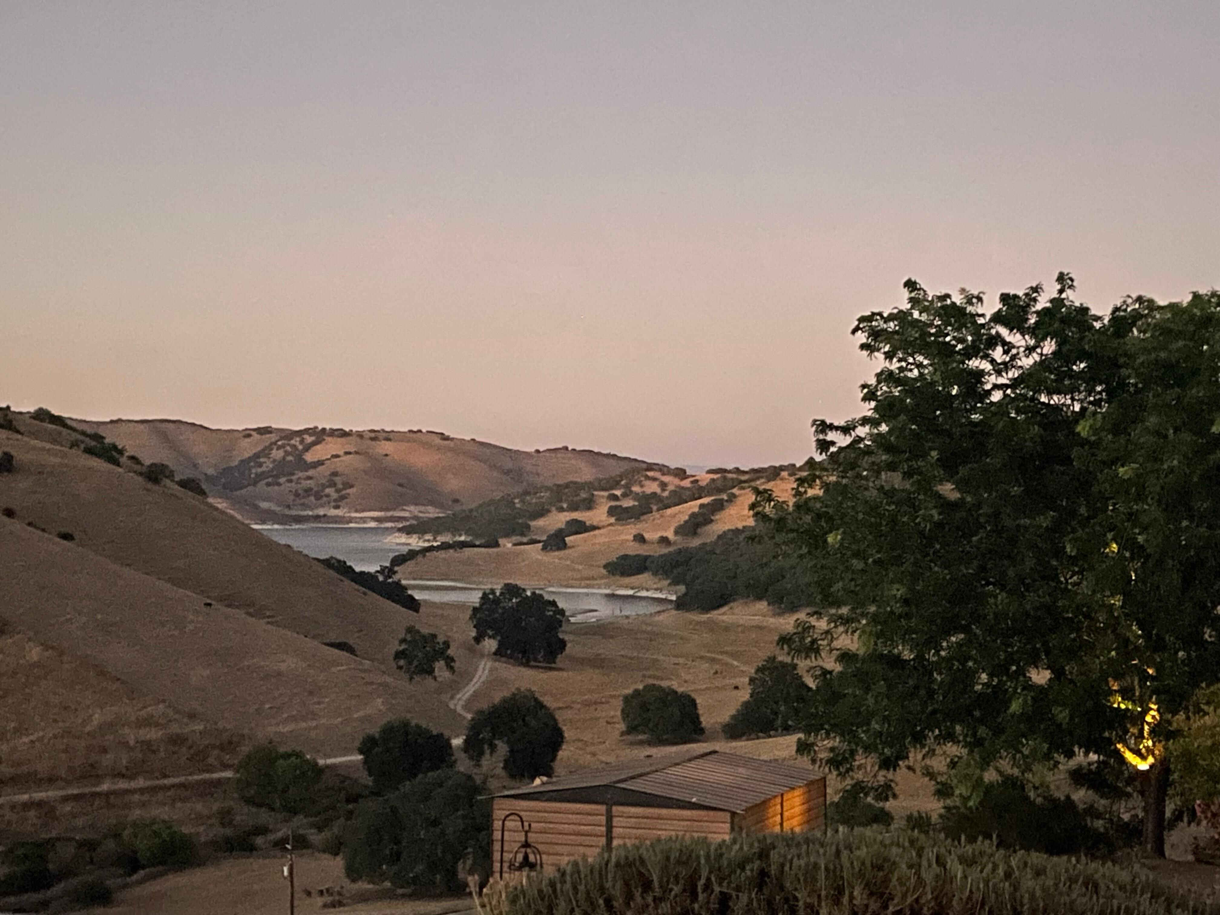 View from the back patio