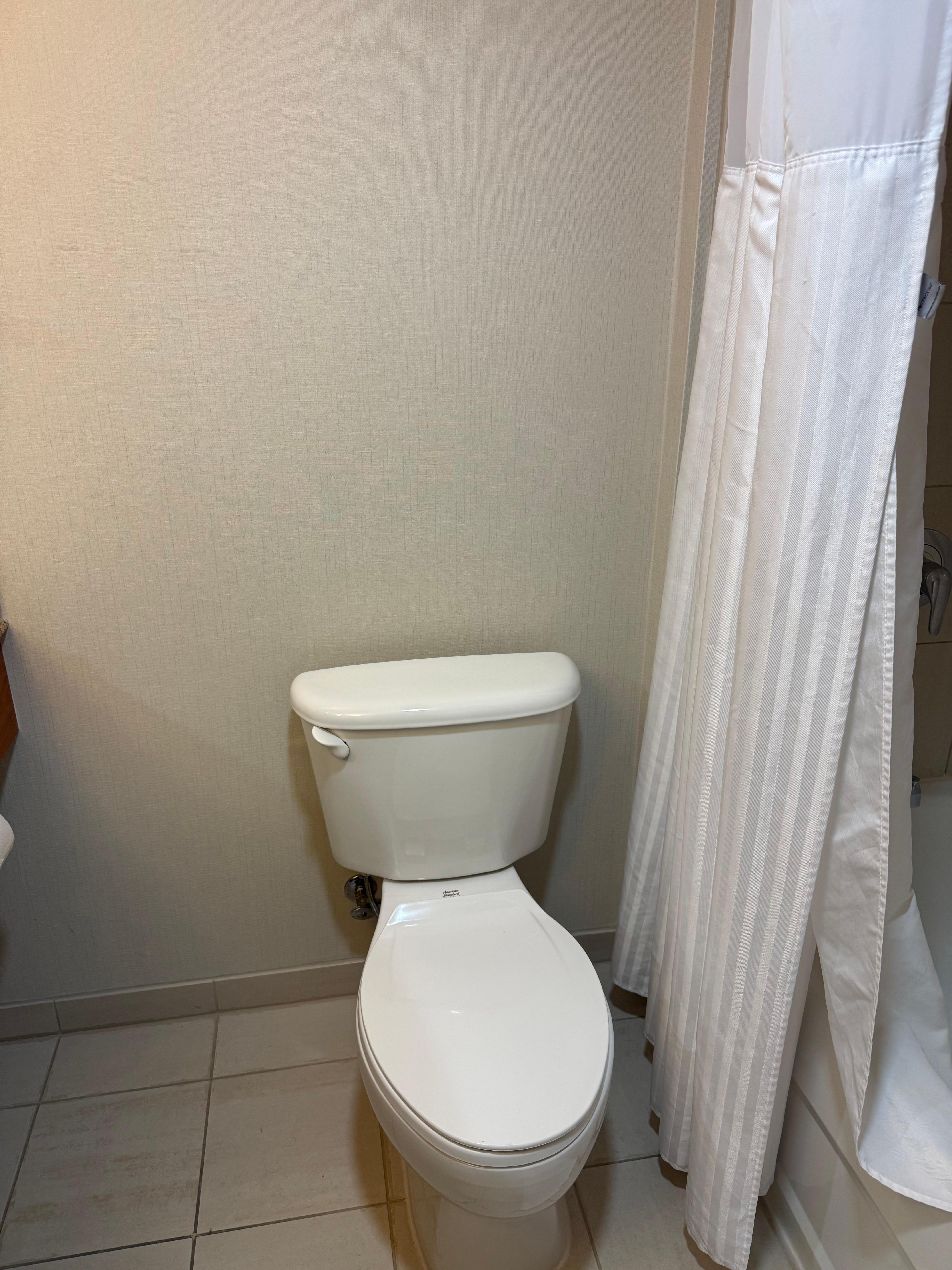 Dripping water on toilet 