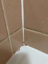 Mould in the corner of the bathtub