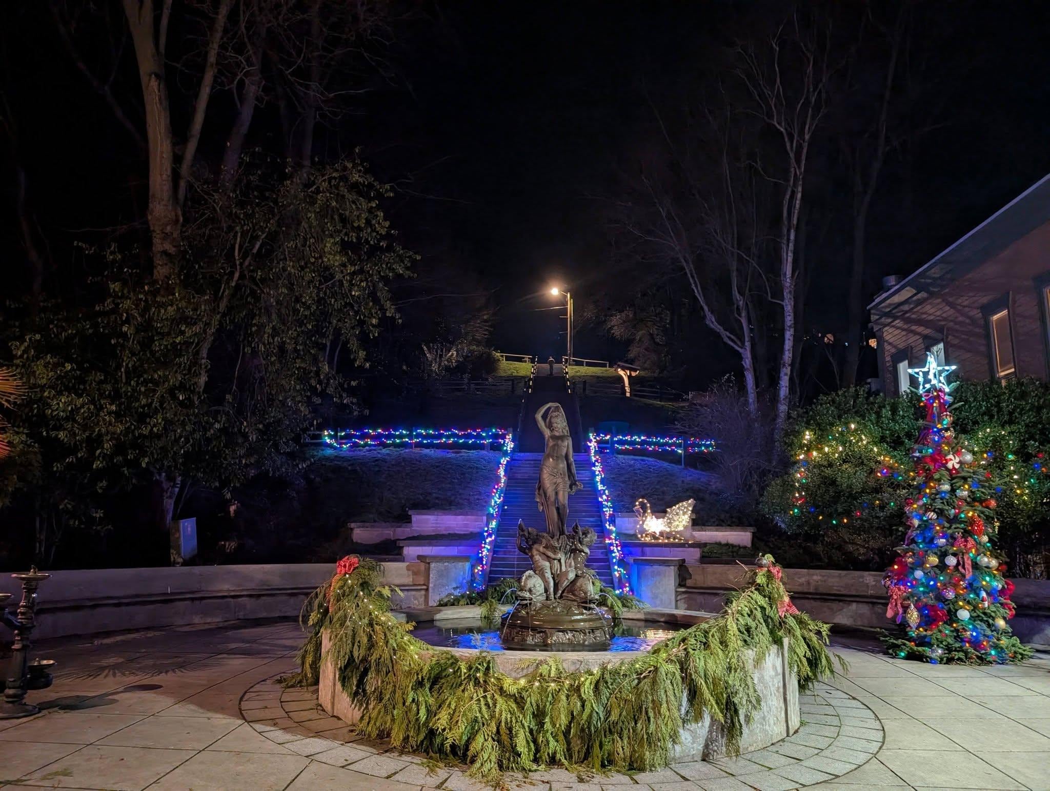 The Fountain Steps - so pretty at night