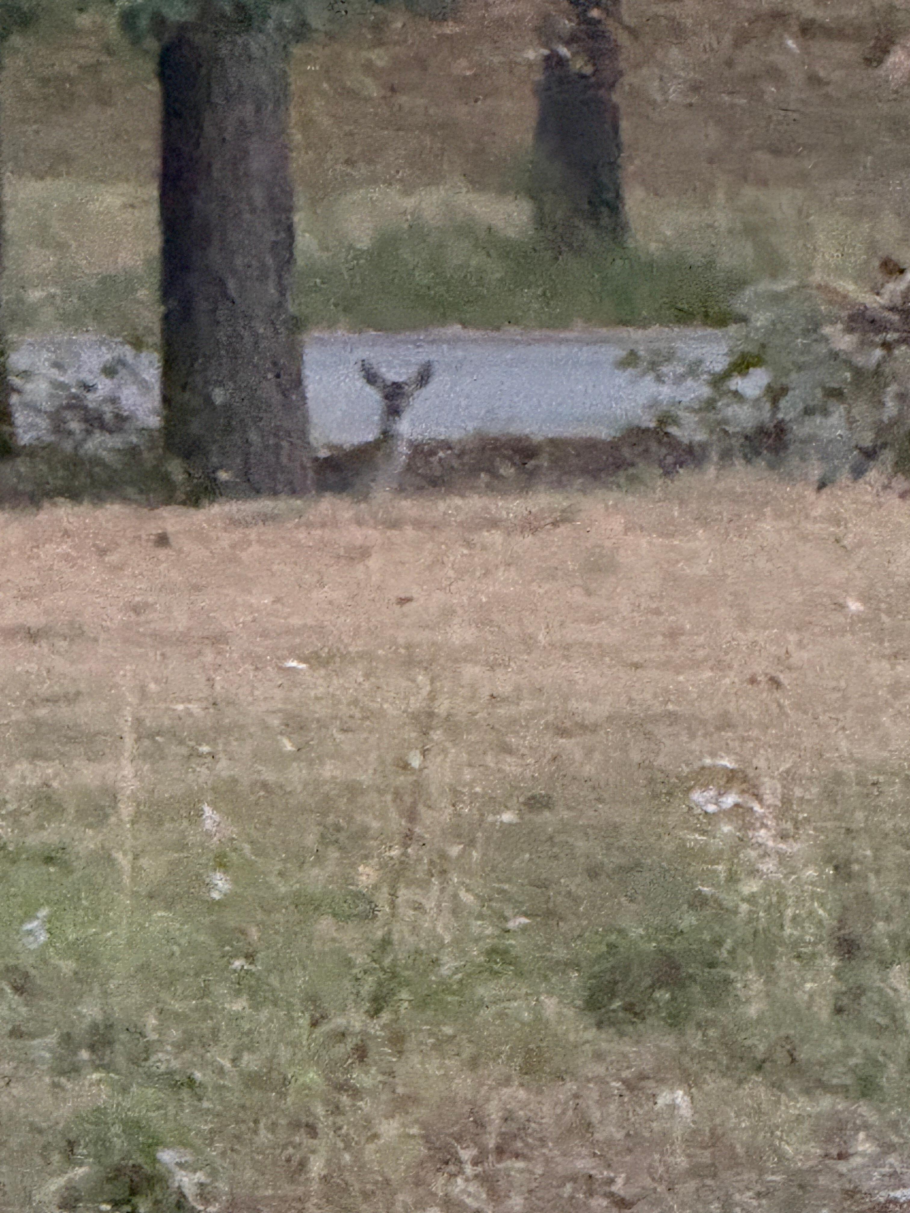 Awesome view of wildlife 