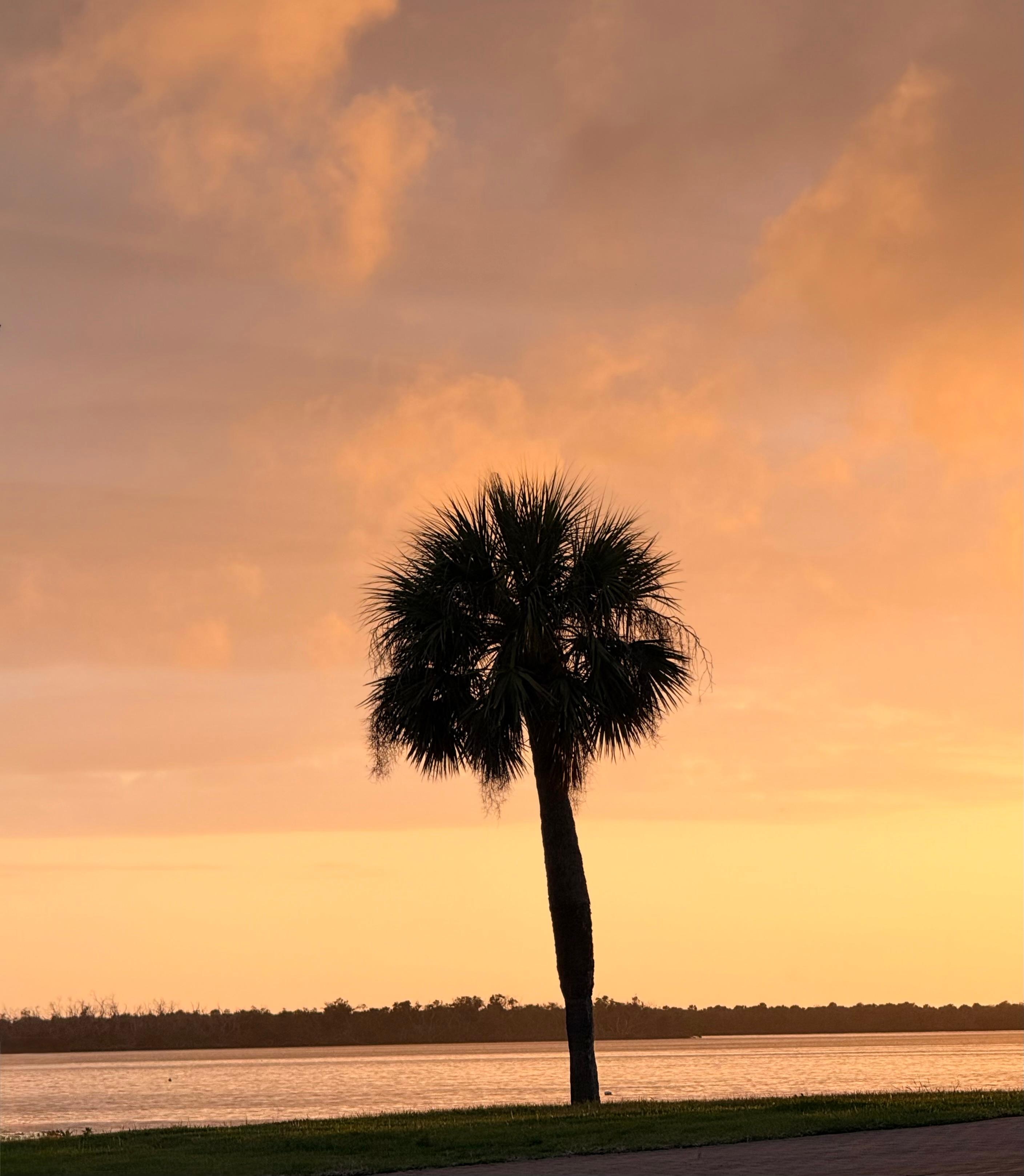 Sunset view one night 🌅 🌴 