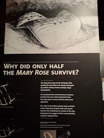 Why only half of the Mary Rose Survived