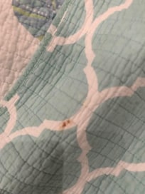 Sofa Bed Cover