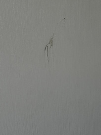 On the walls