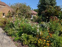 Grounds outside the Coachhouse.