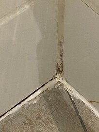 A failed patch up attempt