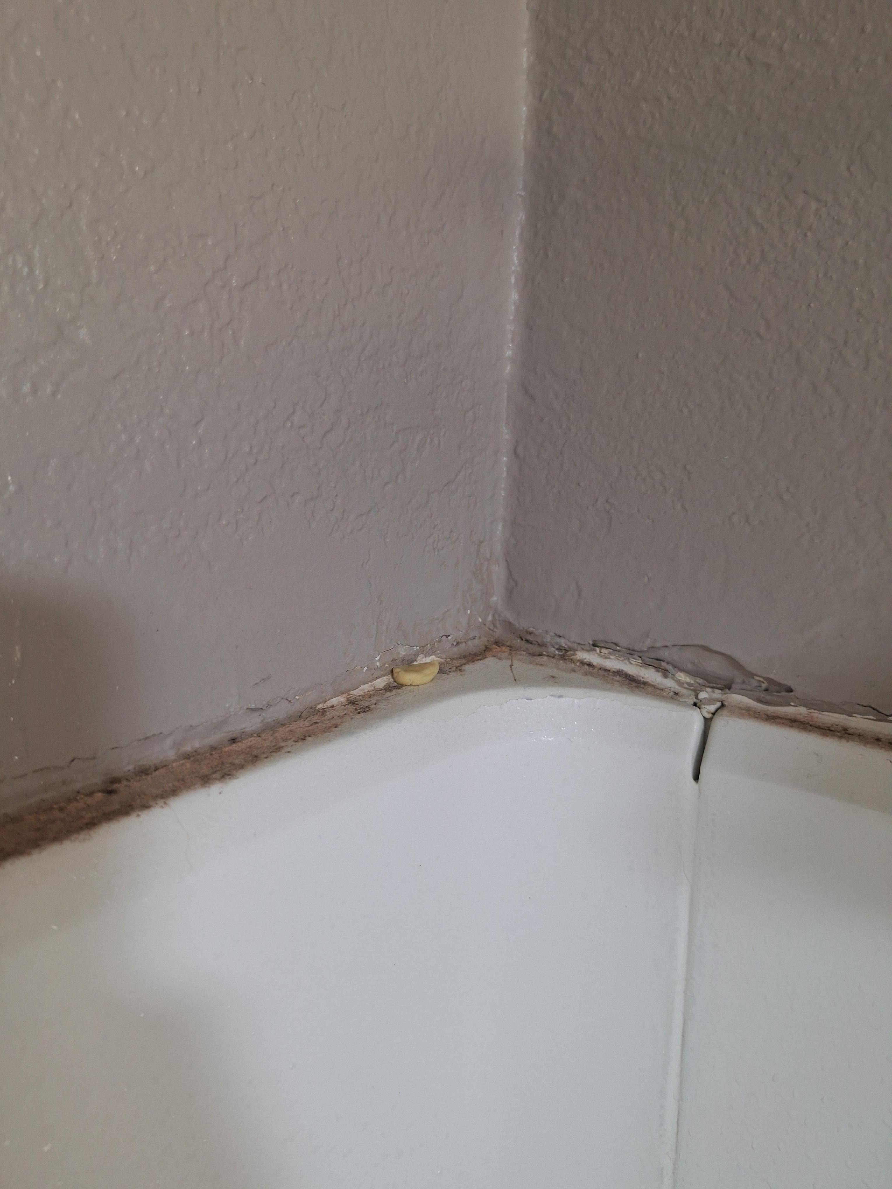 Dirty shower ledge with gum 