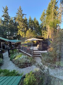 The back yard