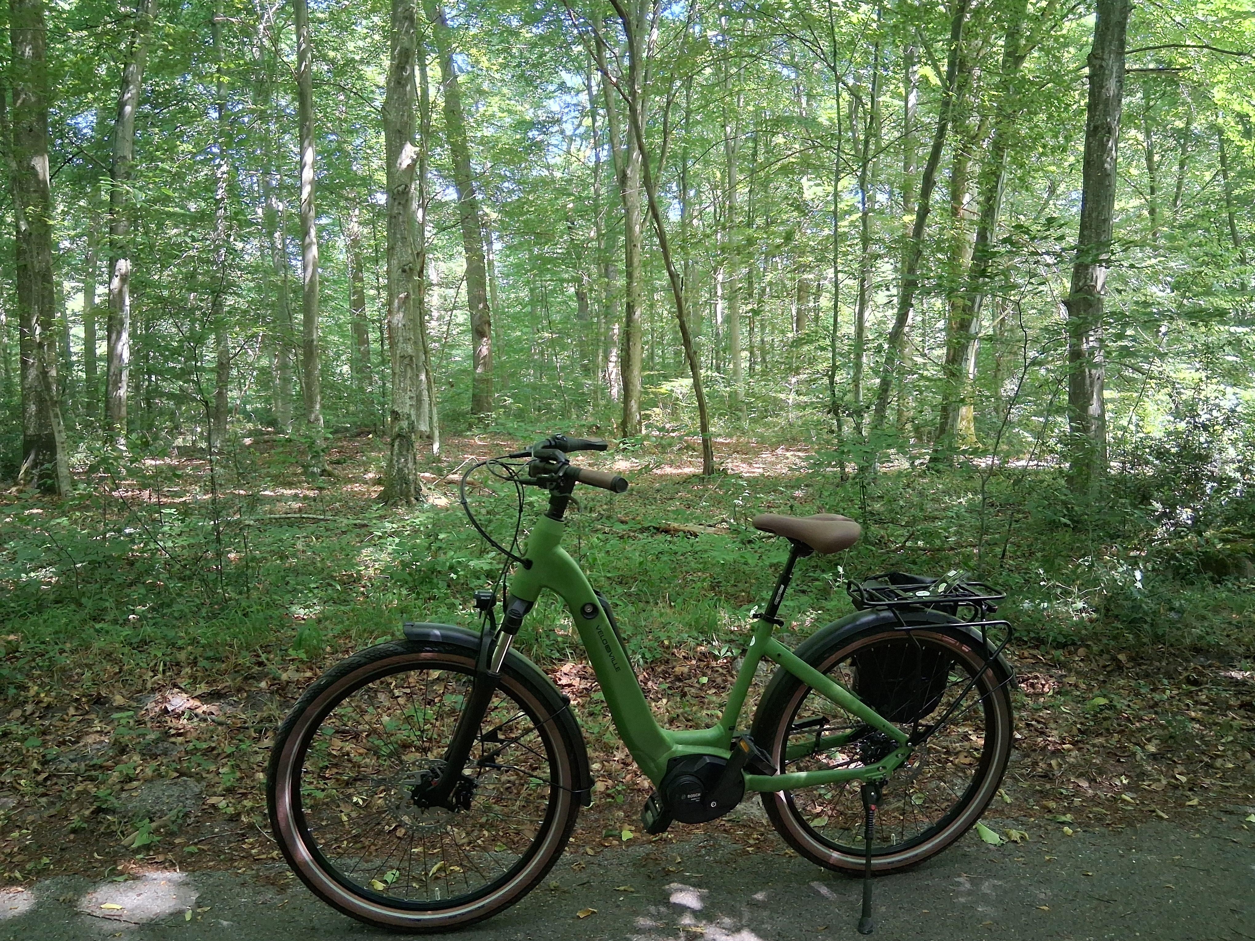 A great day out on the Compiègne to Pierrefont cycle path, on an Albert Hotel hired electric bike!