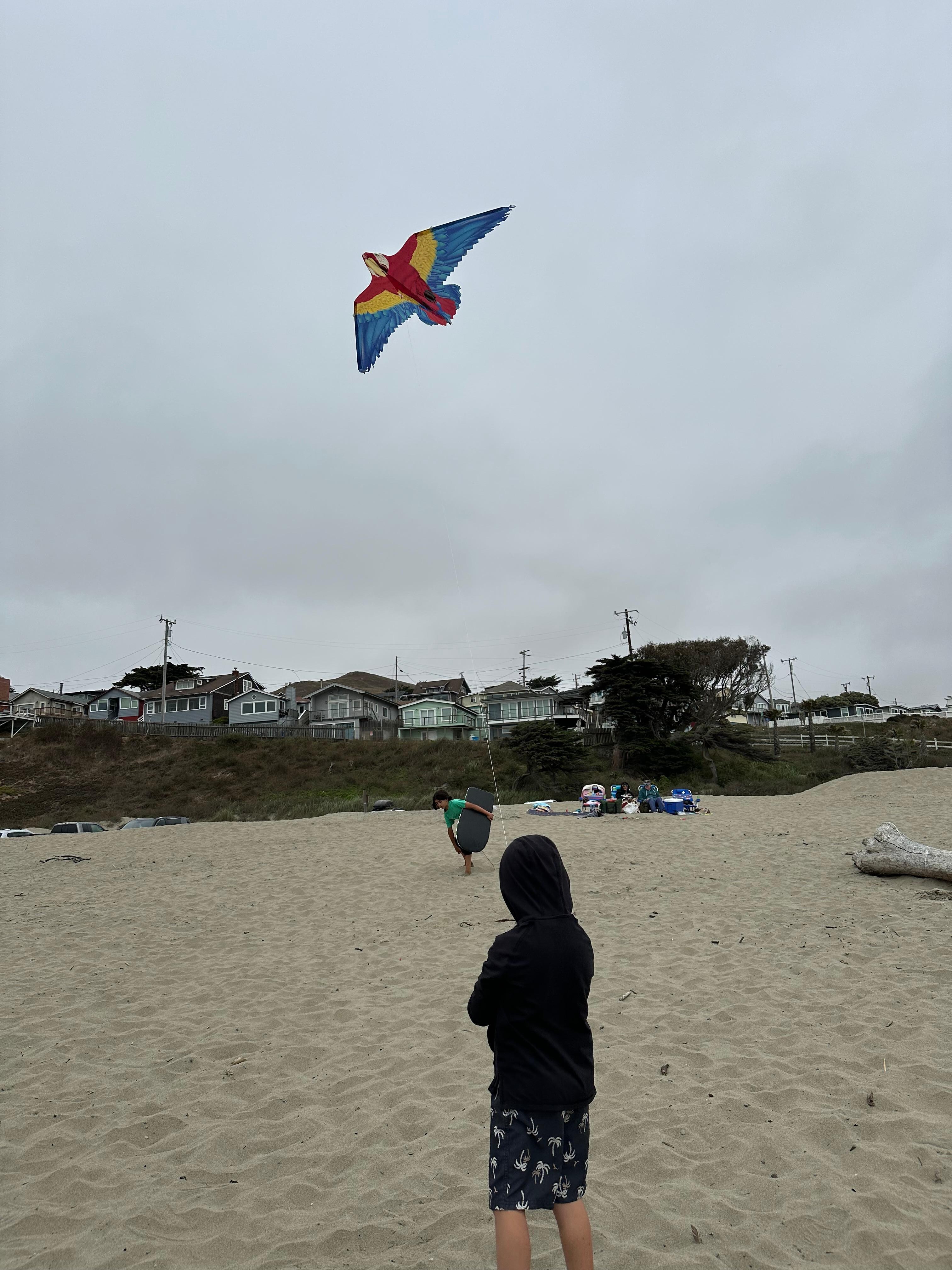 Flying kites on the beach is always a highlight!