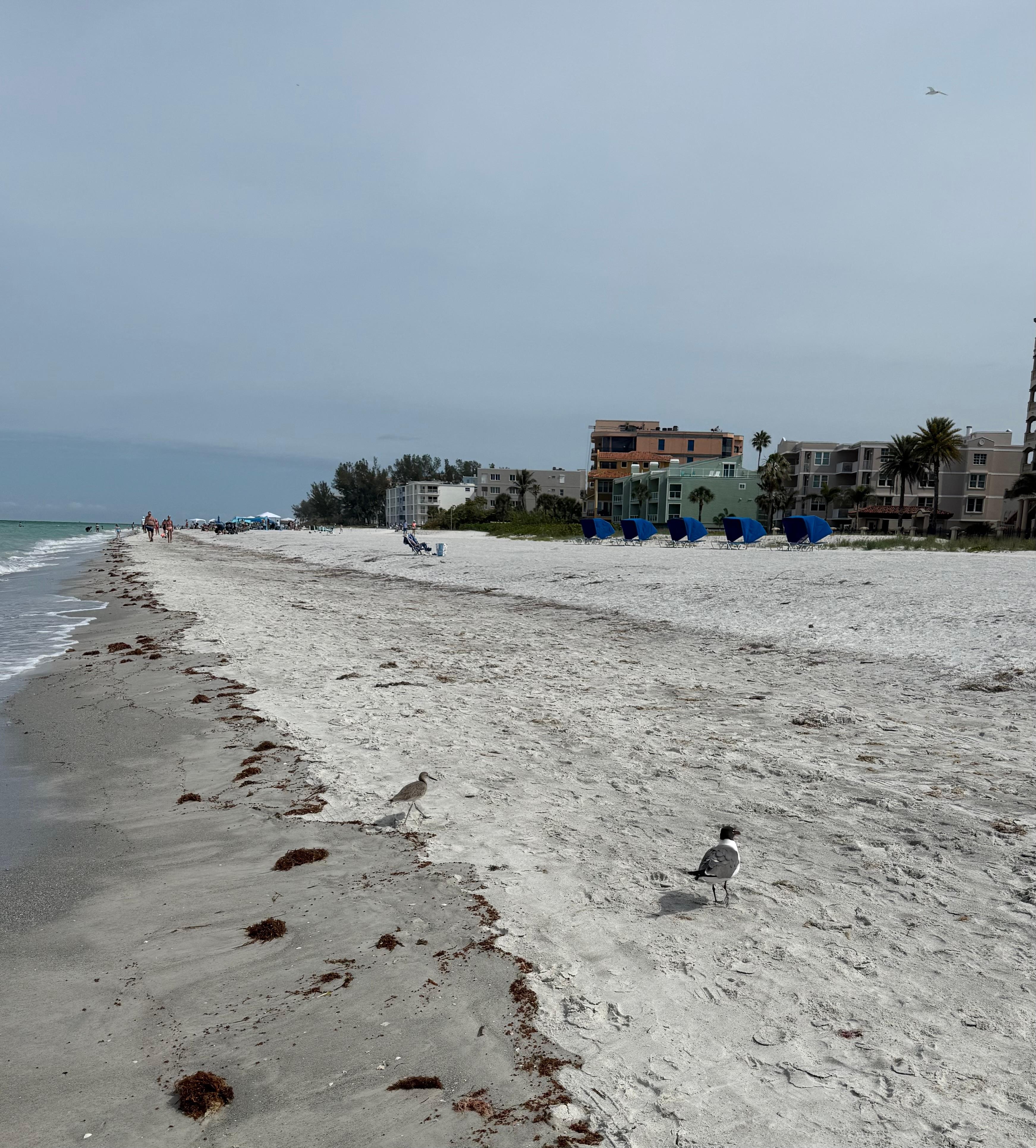 Just a few yards down from us.  Empty beach!!  
