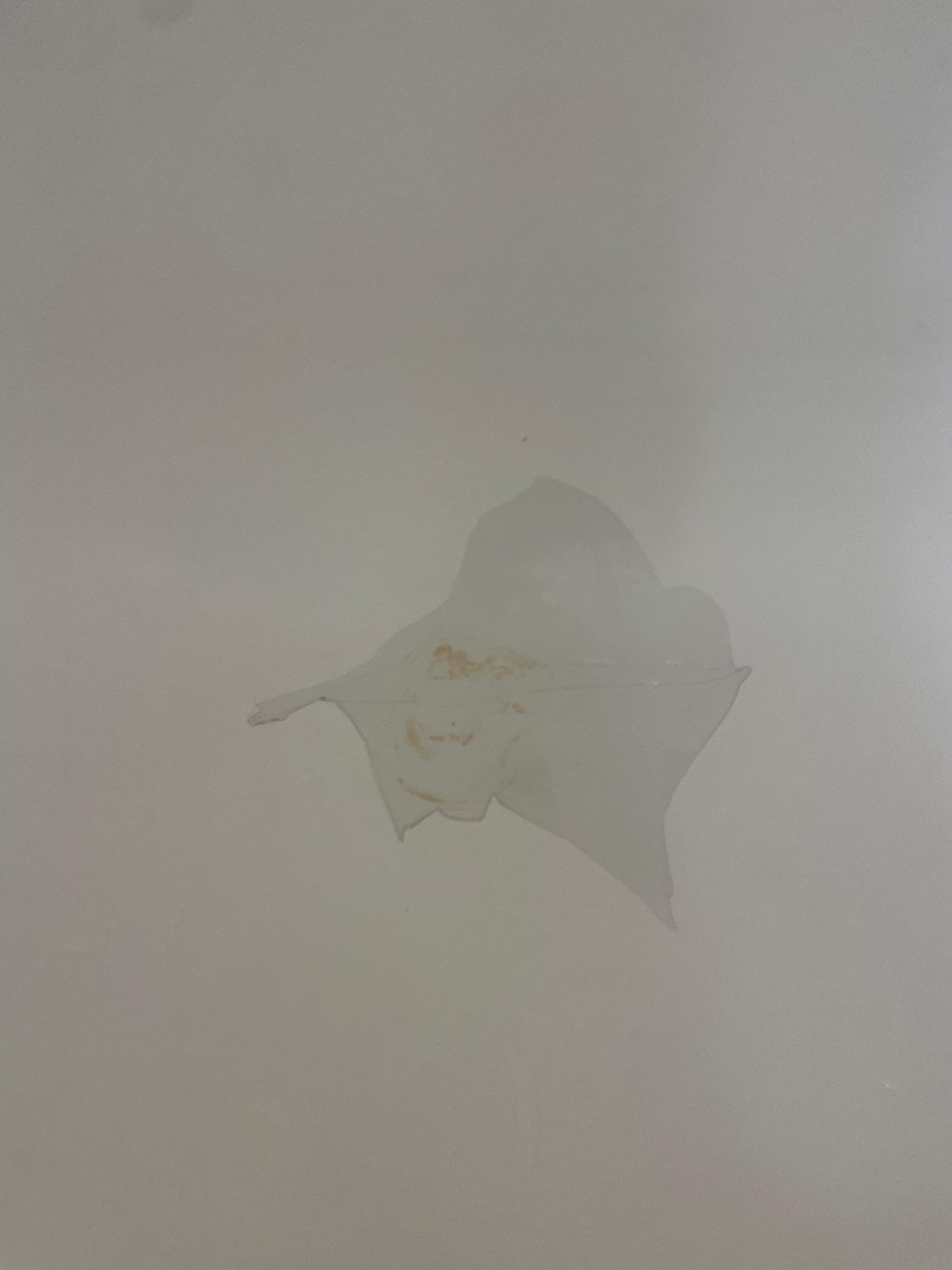 A closer look at the  cracks inside the tub