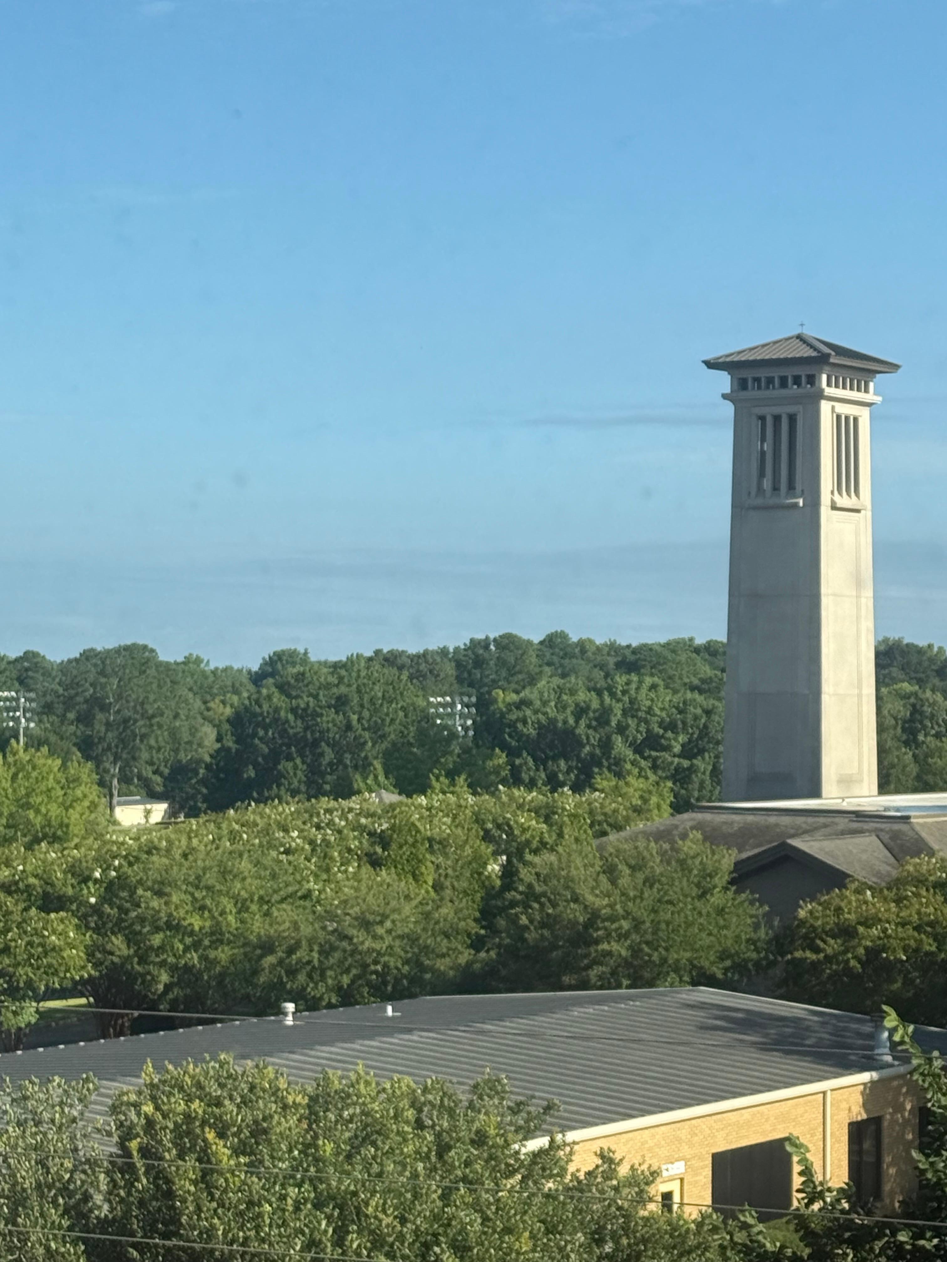 View from my room 