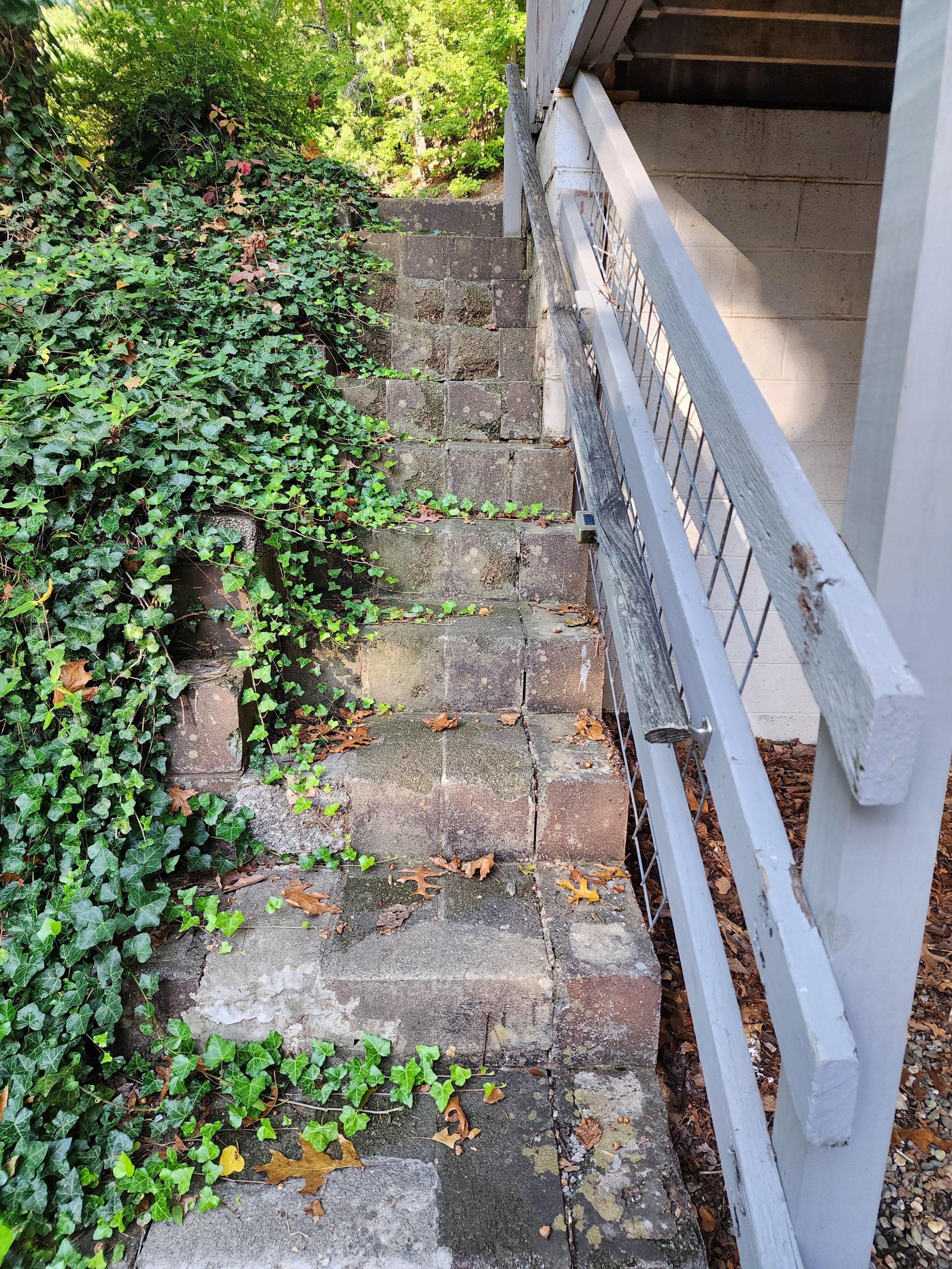 Stairs going up from lower area