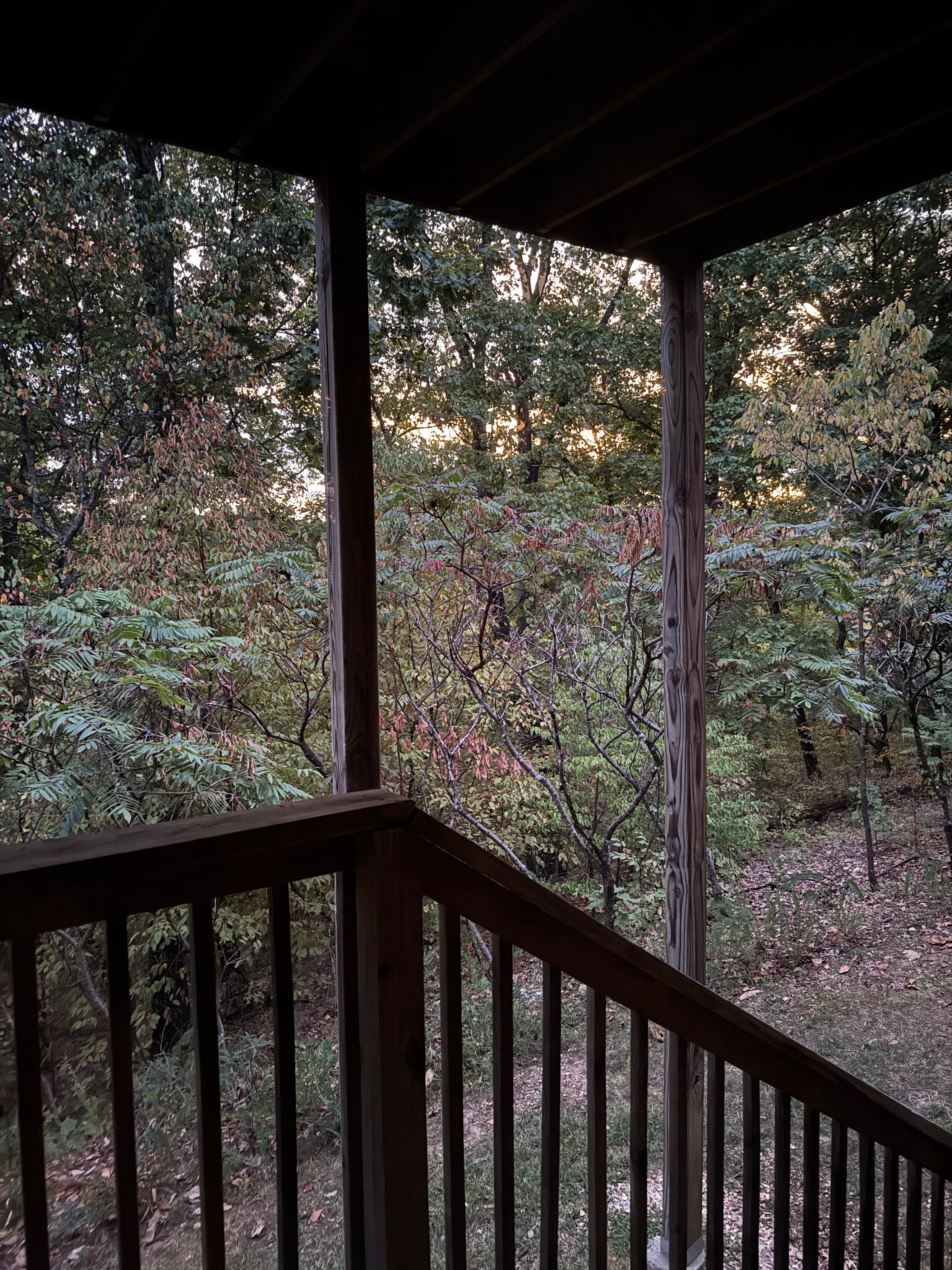 Area behind the cabin