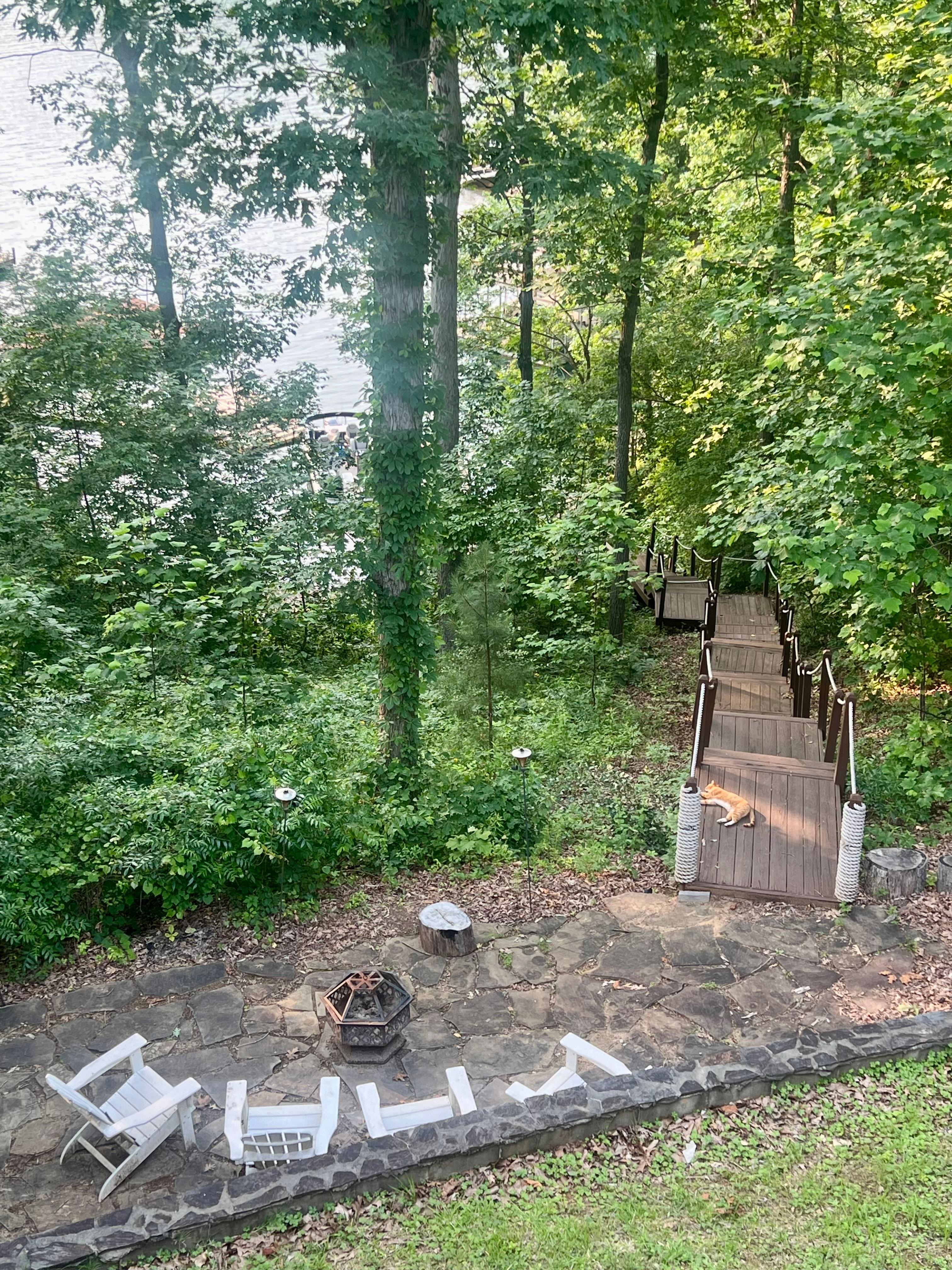 Steps going down to the dock. Orange kitty hung around & was very friendly 🐈 
