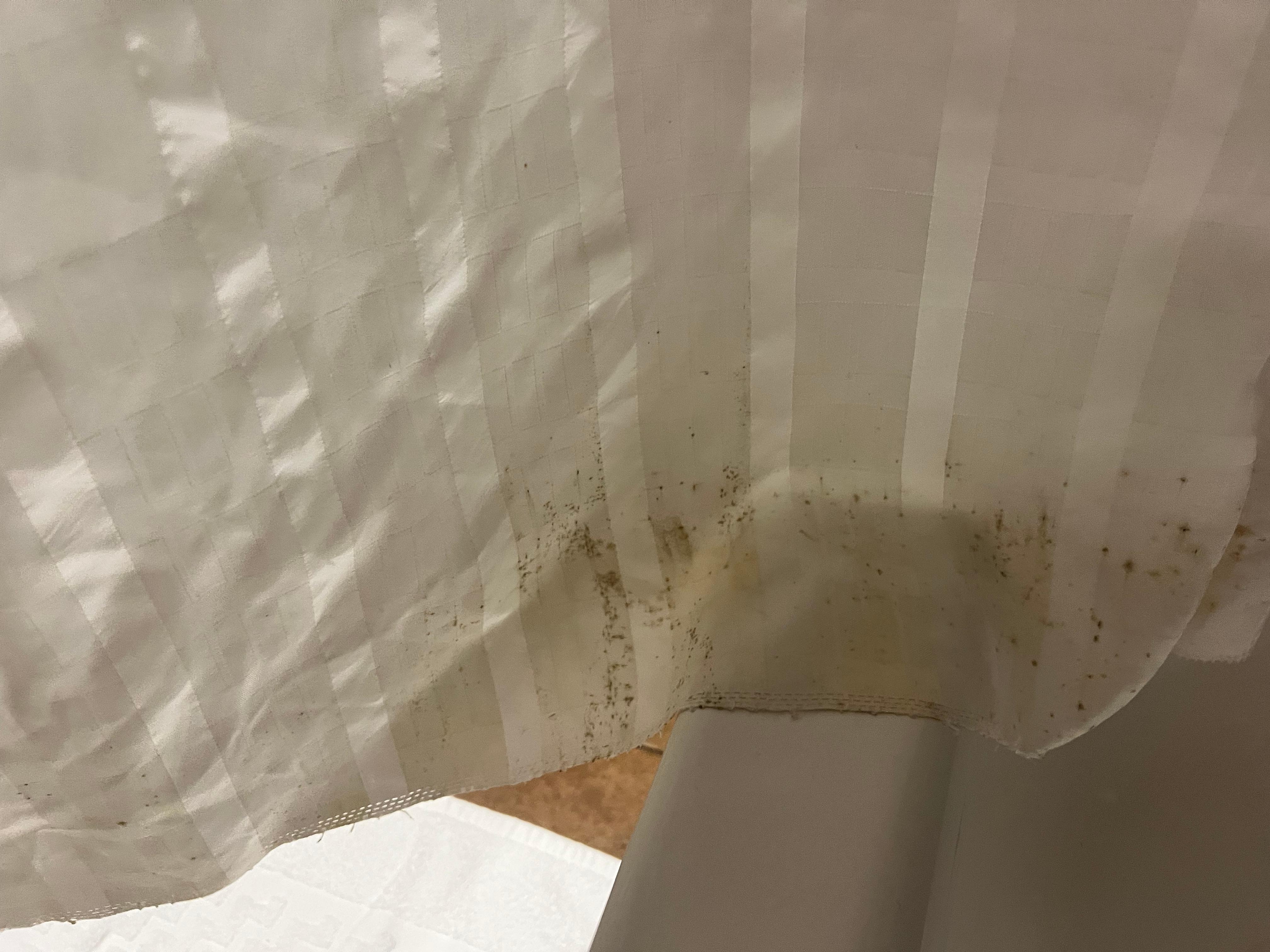 Black mold on shower curtain. 