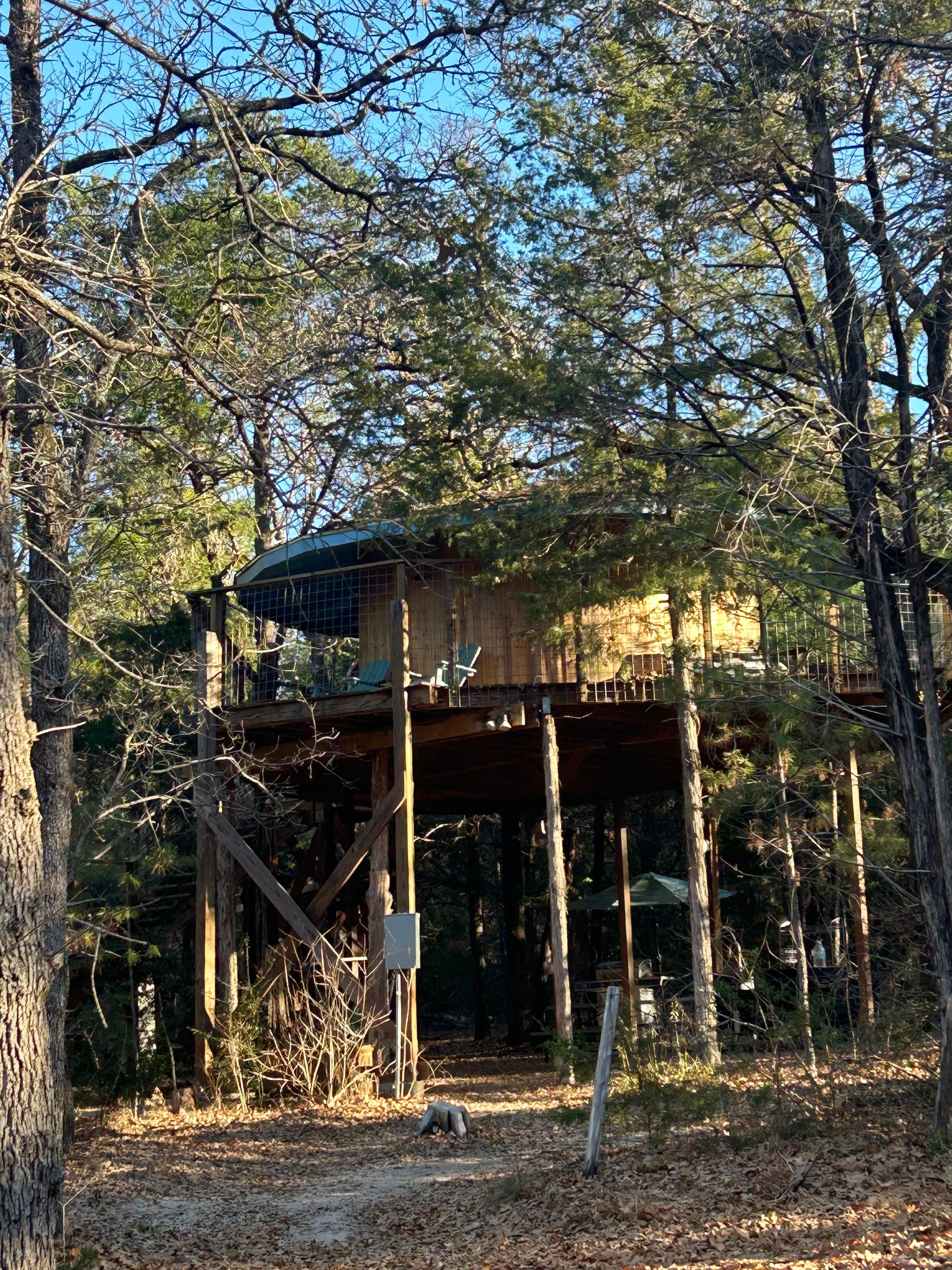 Our treehouse after a trail walk