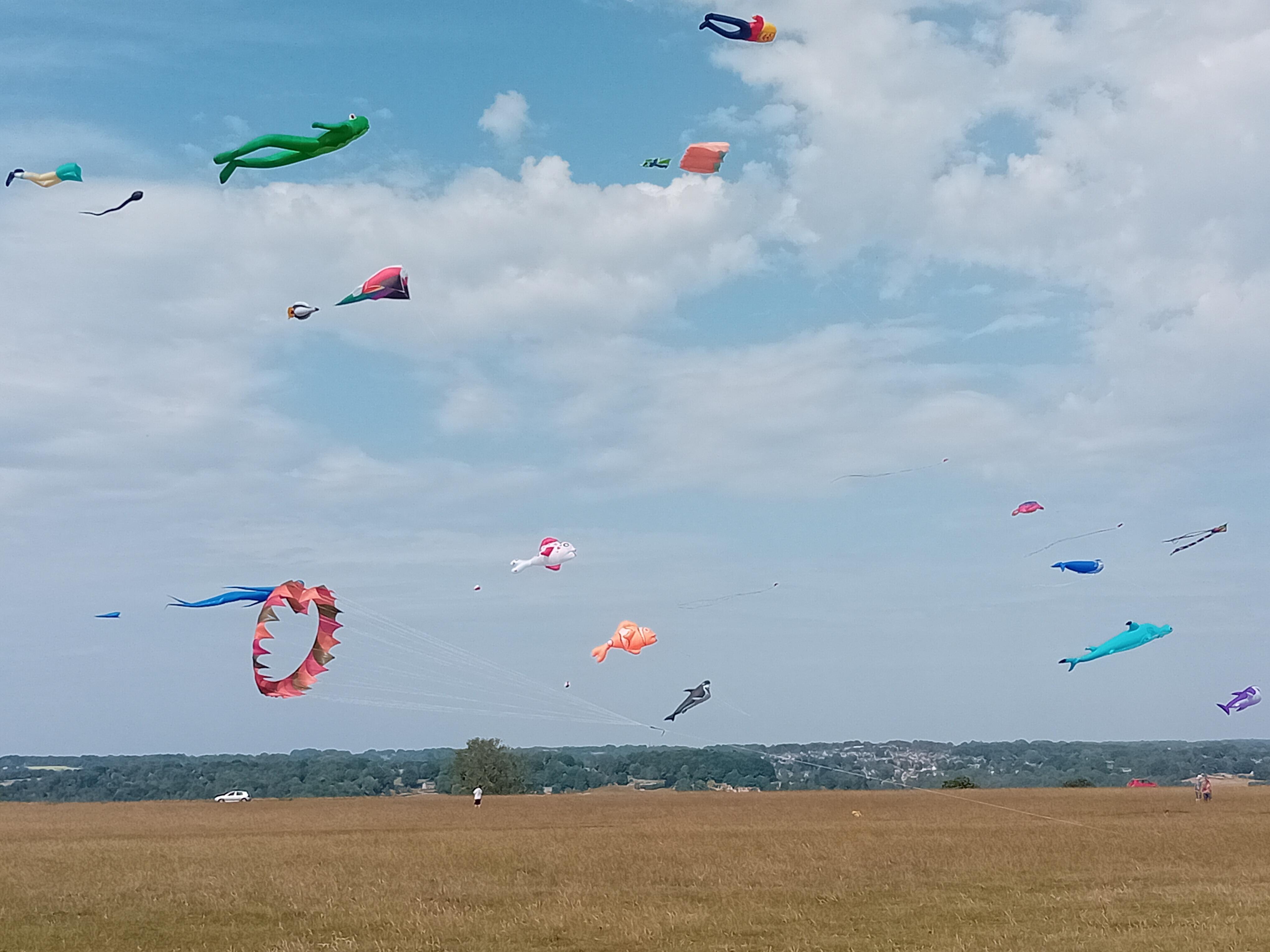 Kites on Minchinhampton Common. Perfect for walks picnics & there are several pubs within easy walking distance if you don't mind walking up hills.