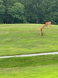Pics of golf course