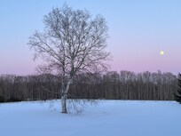 Stunning views from every window
