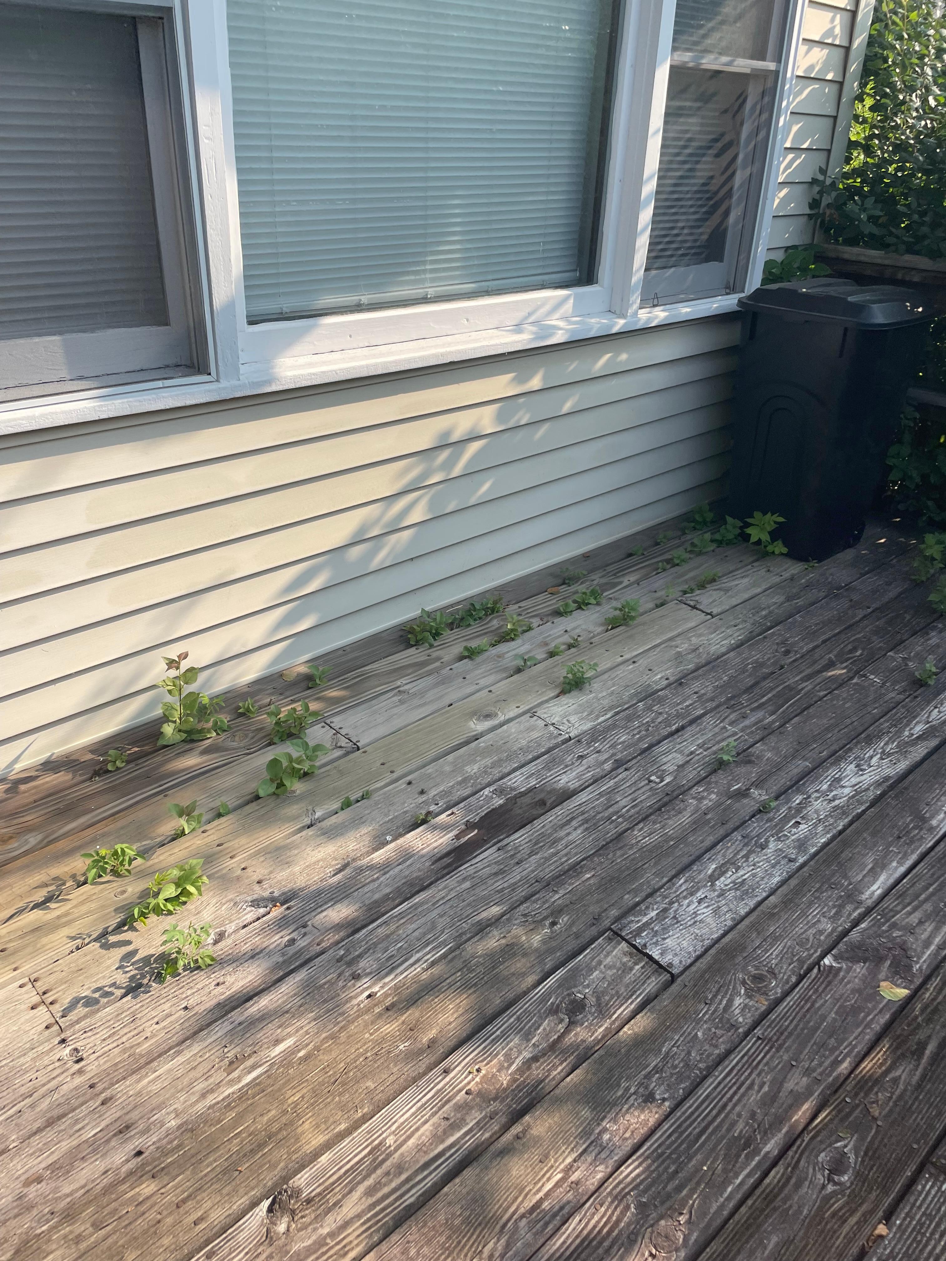 Front deck