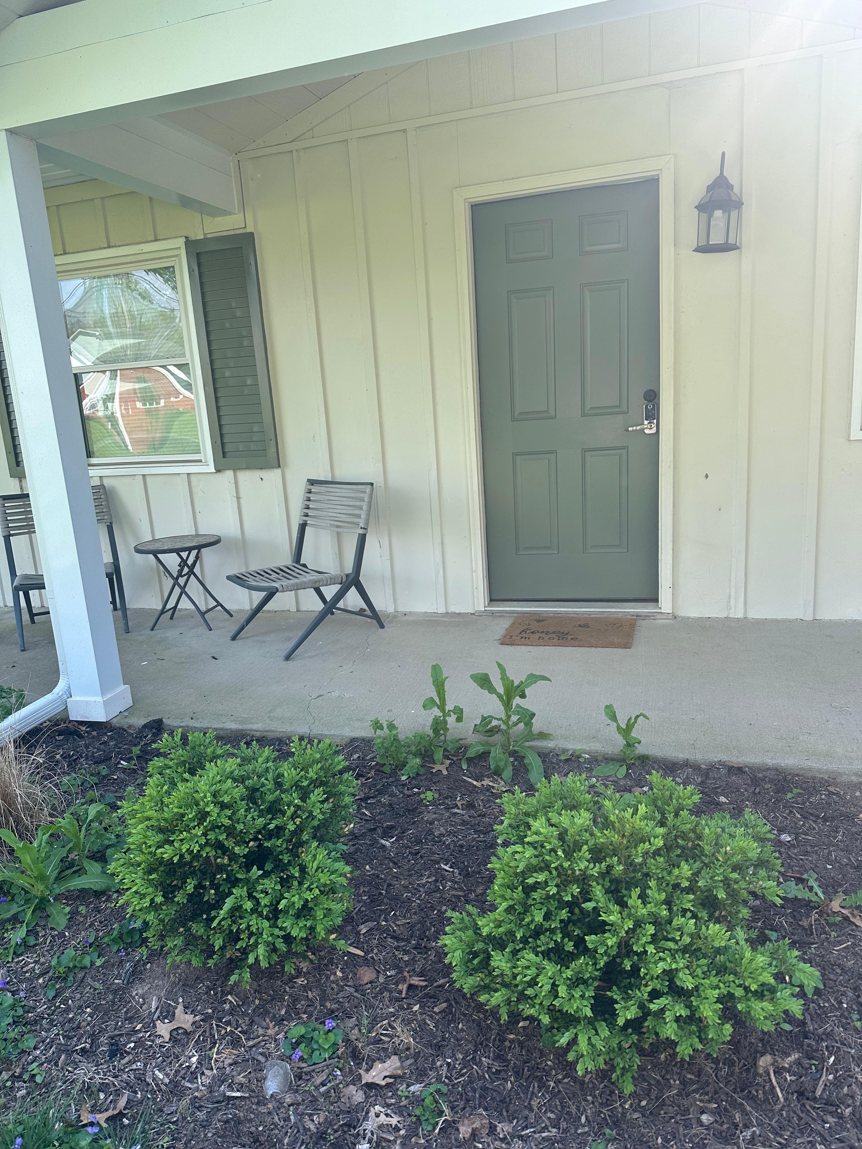 The weeds were overgrown- unkept 