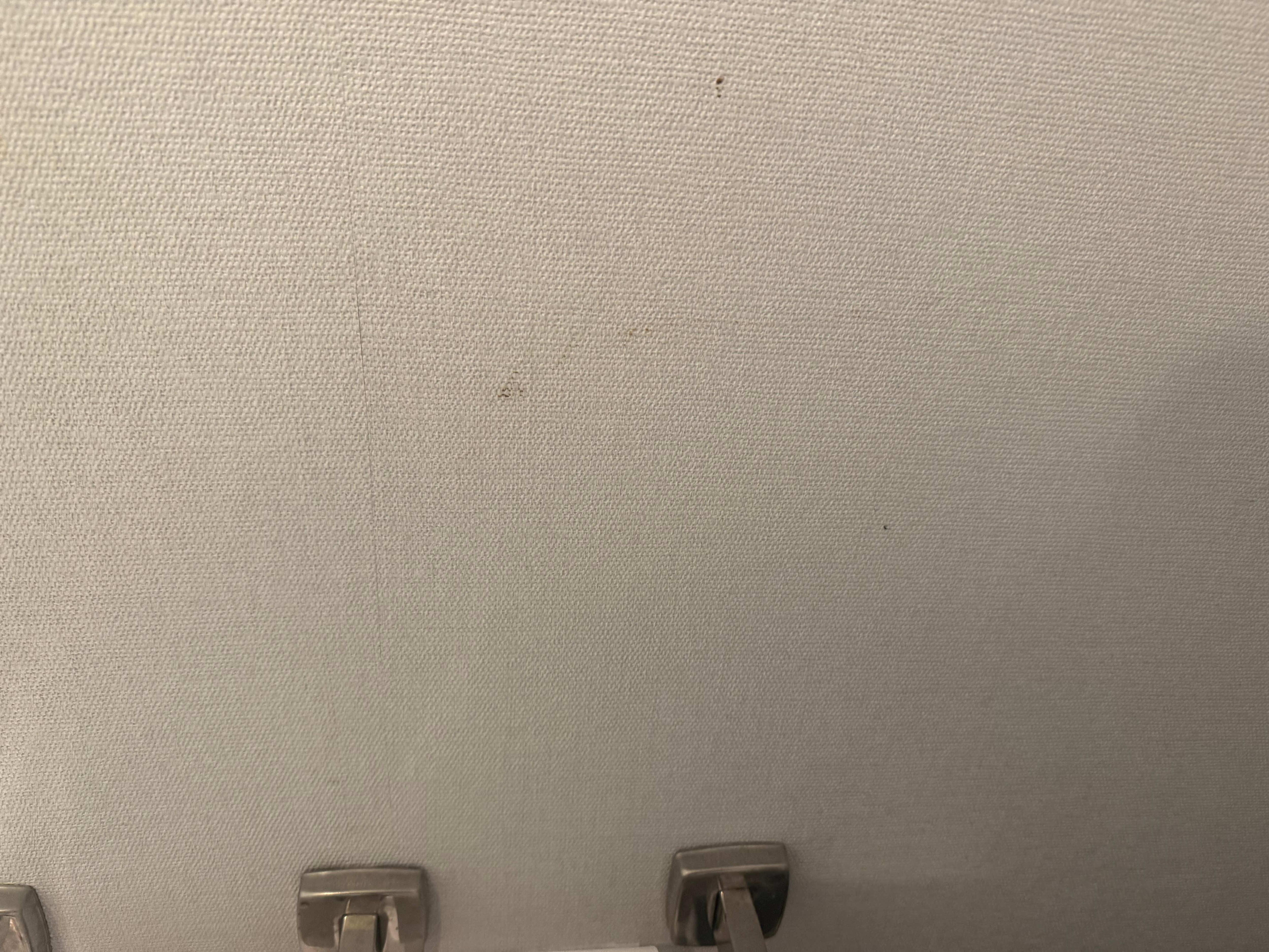 Feces on the bathroom wall