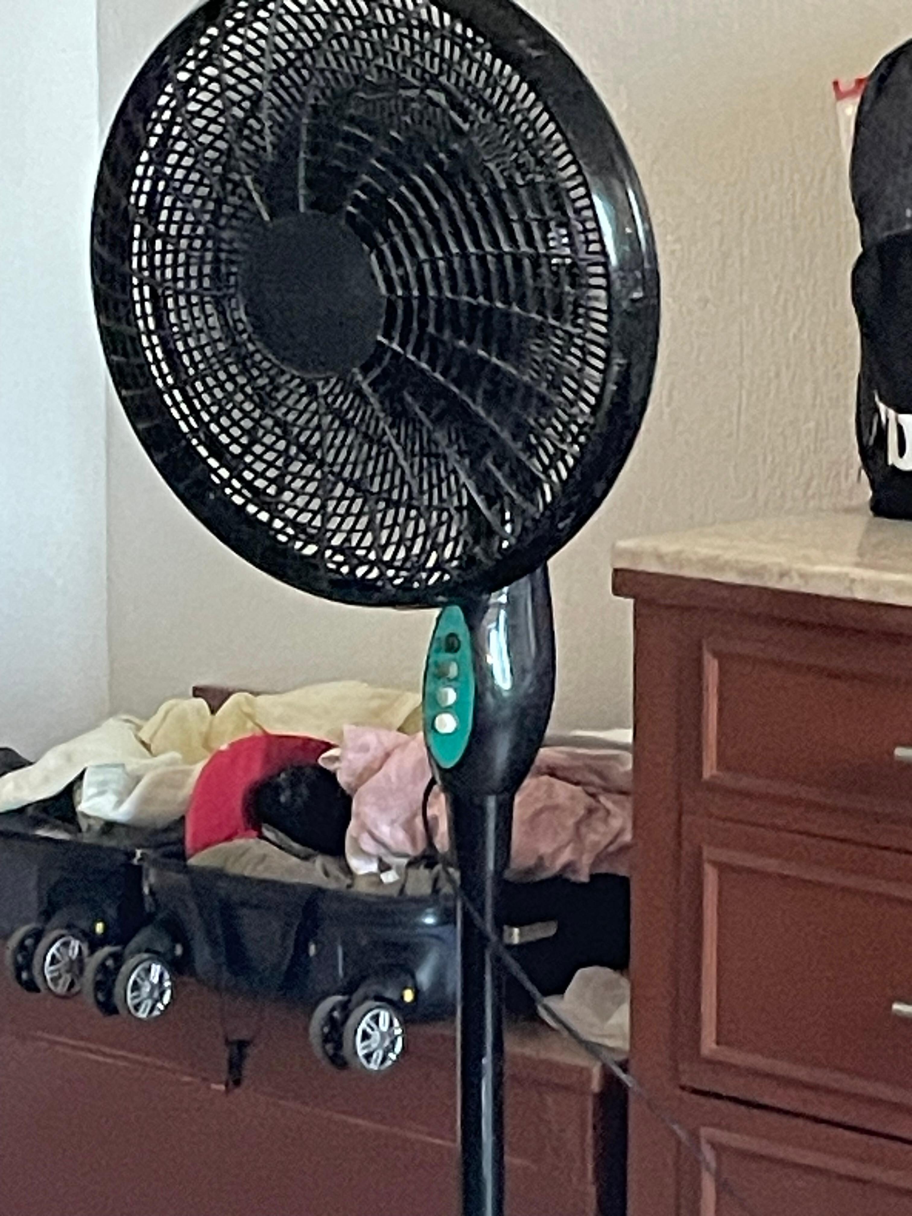 Esto es un abanico, no es un aire acondicionado 