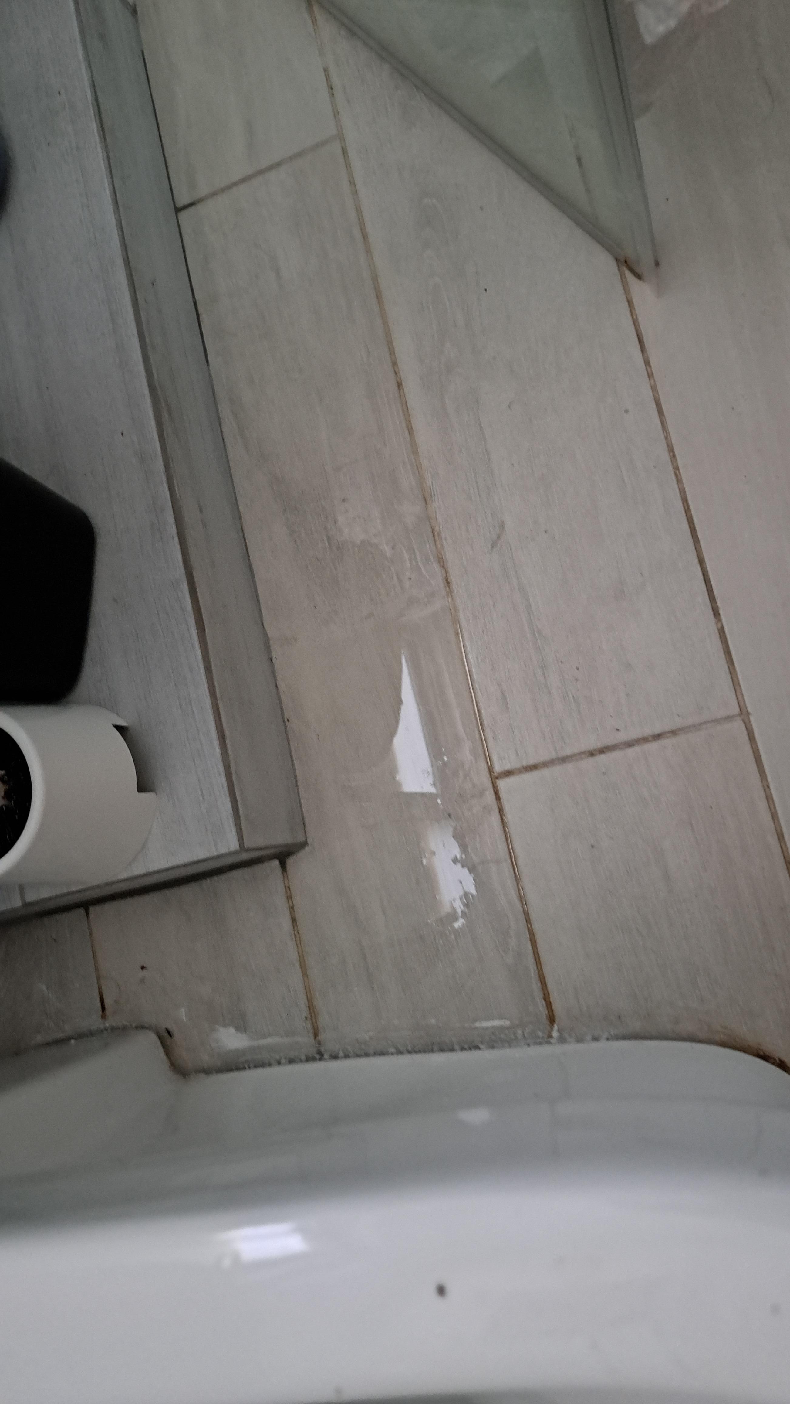 Toliet leak across bathroom floor..took 7 days to have some repair. Constant mess.