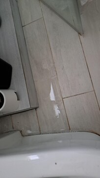 Toliet leak across bathroom floor..took 7 days to have some repair. Constant mess.