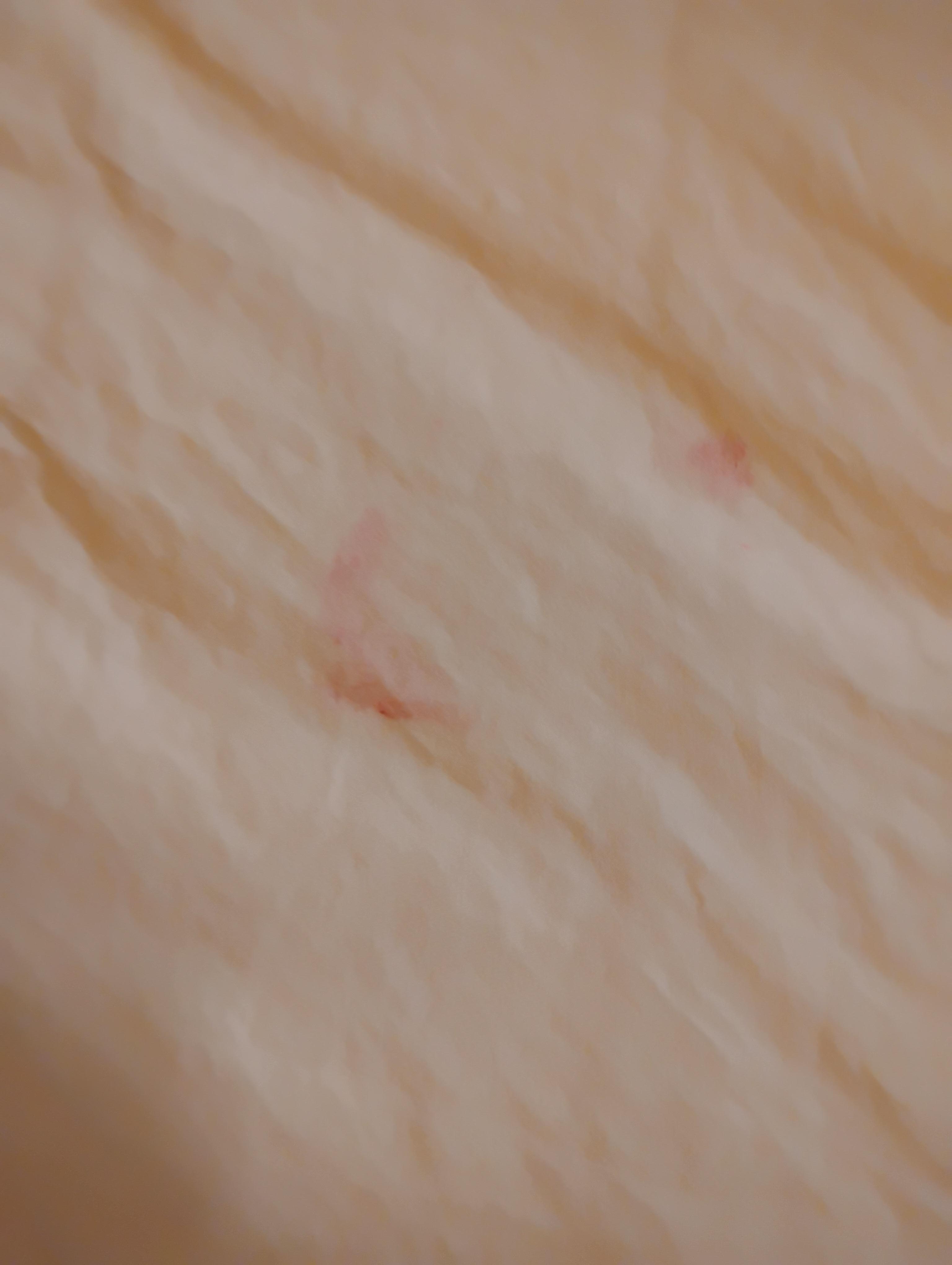 Red stains and cigarette burns on sheets. I guess I hope that it's lipstick? Or is that just as gross.