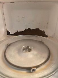 Poor Microwave Condition