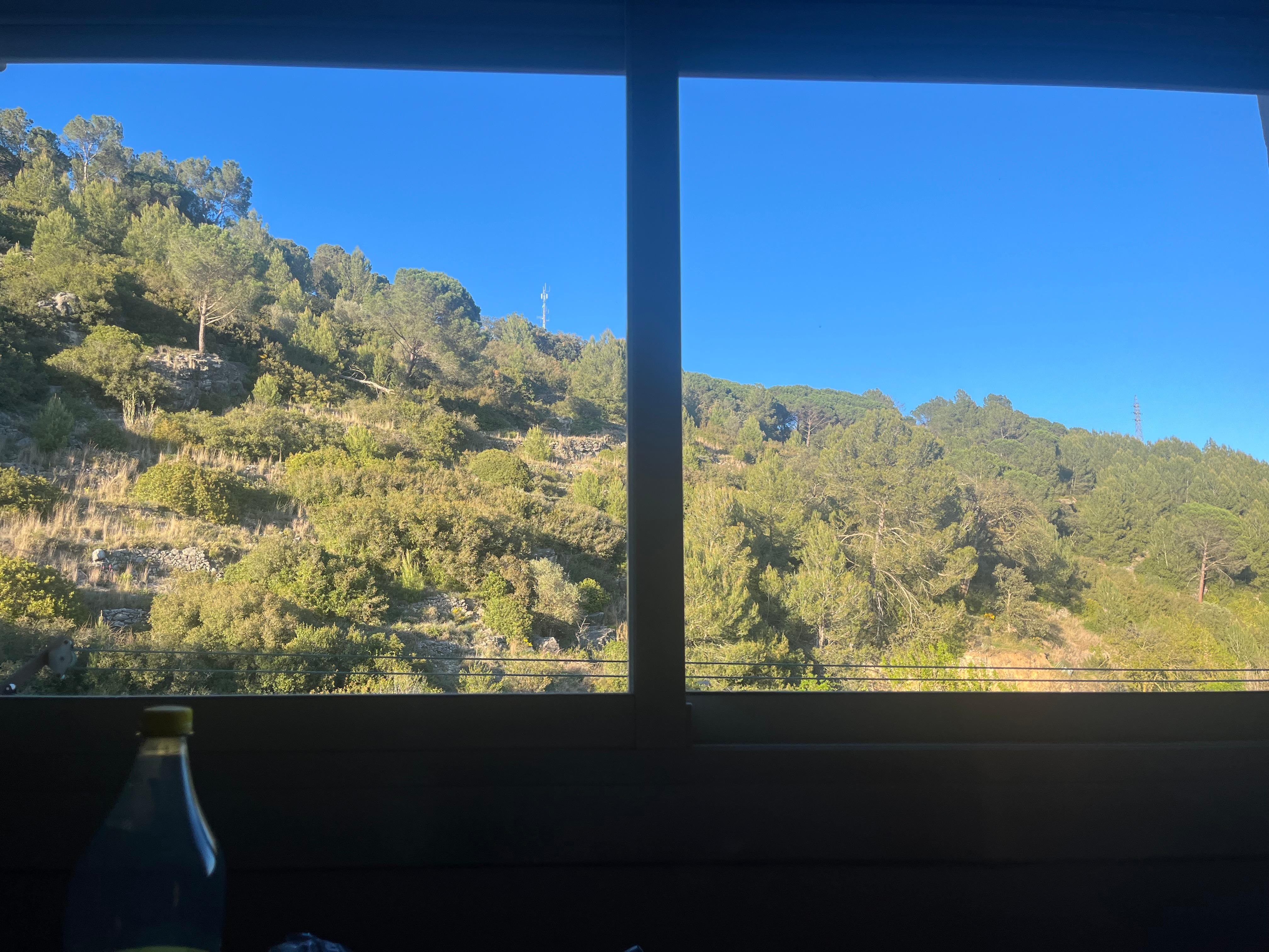 View from the dining table 