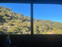 View from the dining table