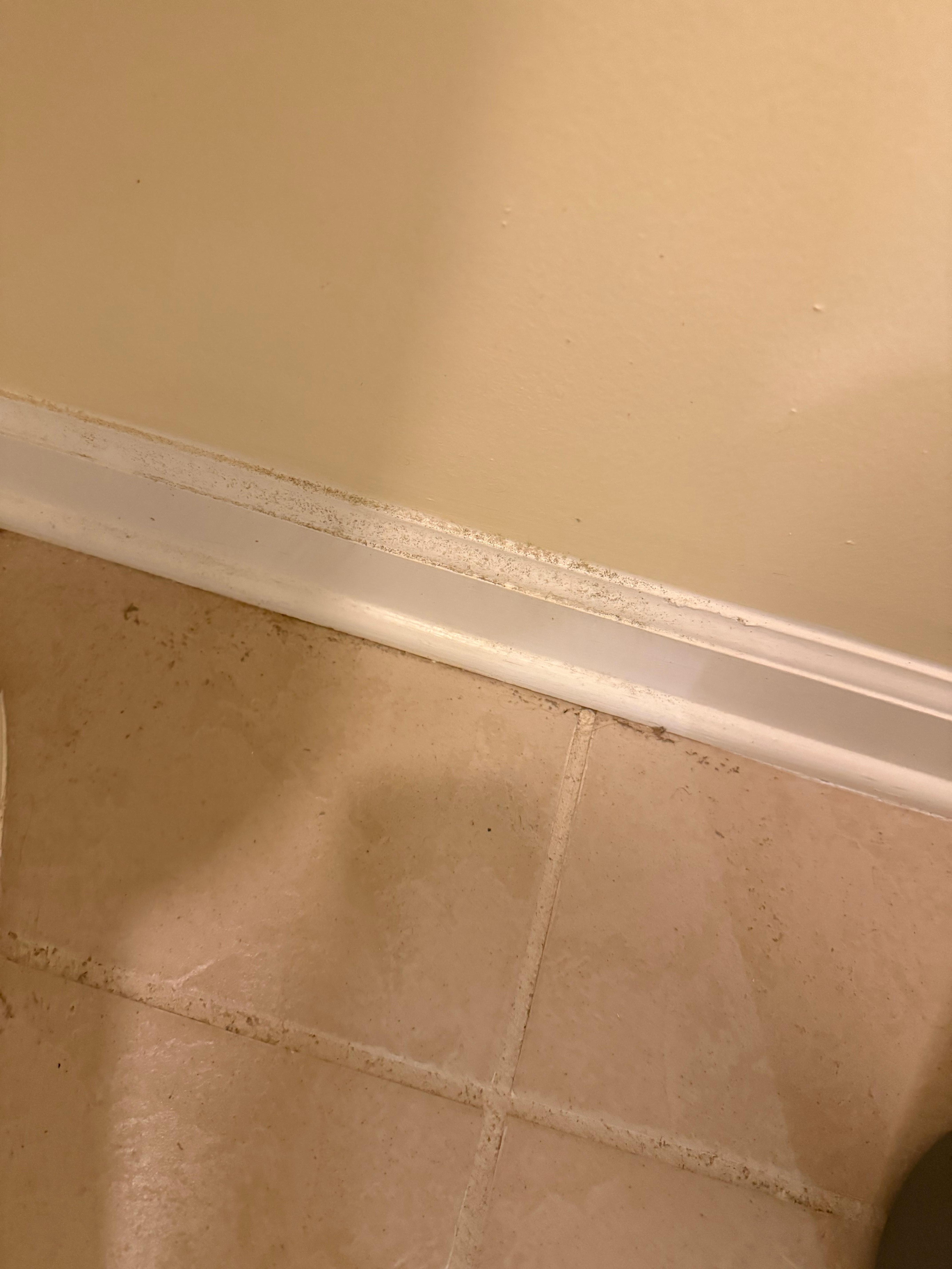 Built up dust