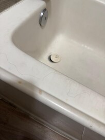 Hair and nasty on ledge