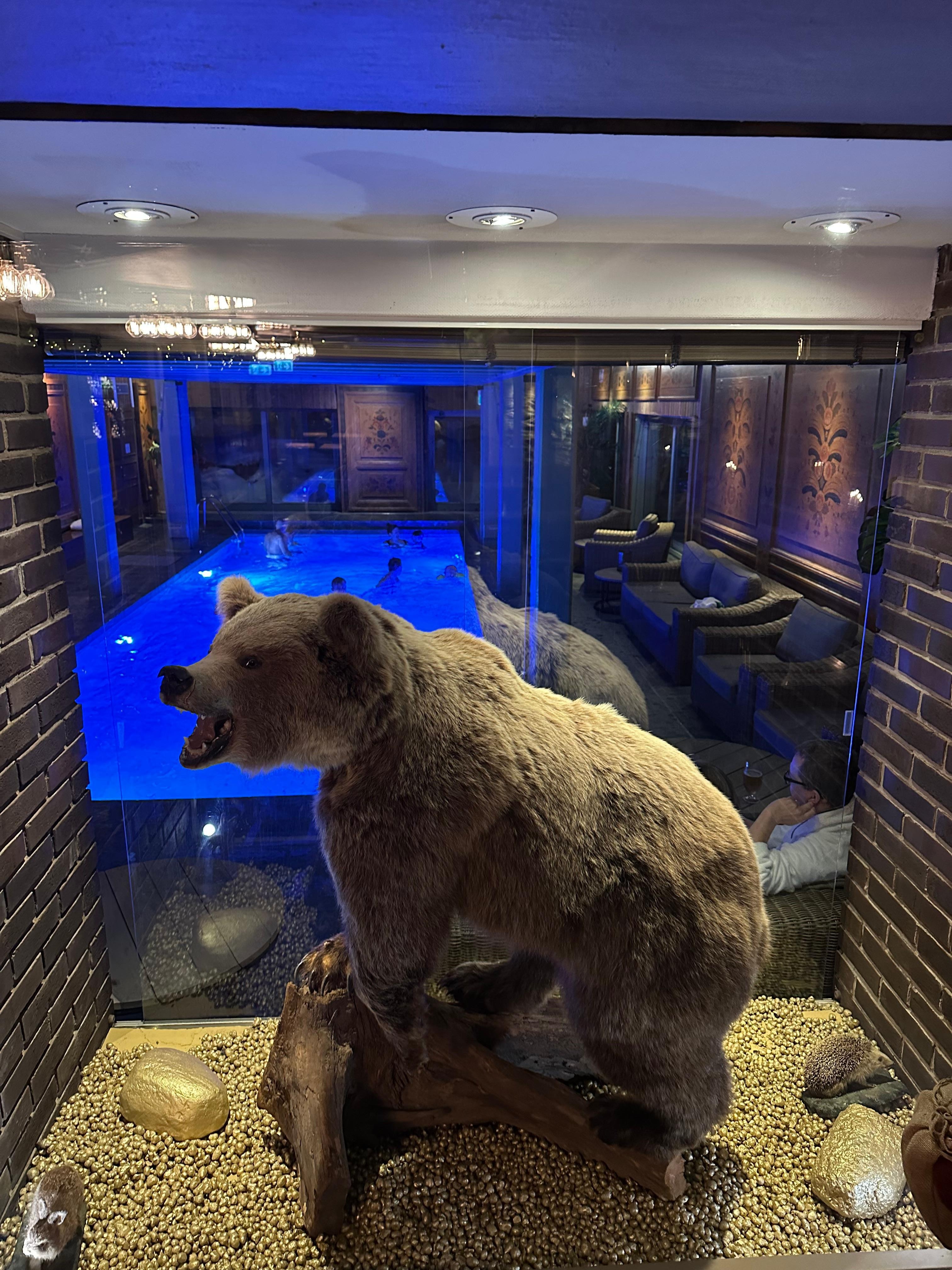 Hopp i spat för den som vågar. 