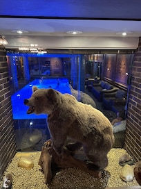 Hopp i spat för den som vågar.