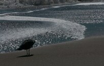 The Assateague Island National Seashore, VA was minutes away from the hotel.