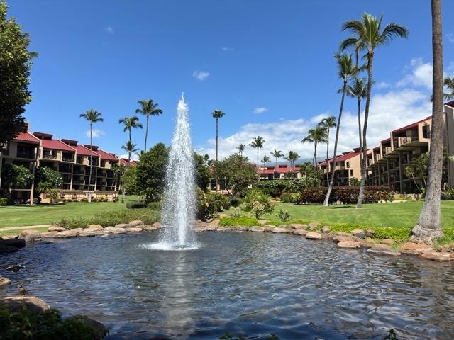 General grounds view