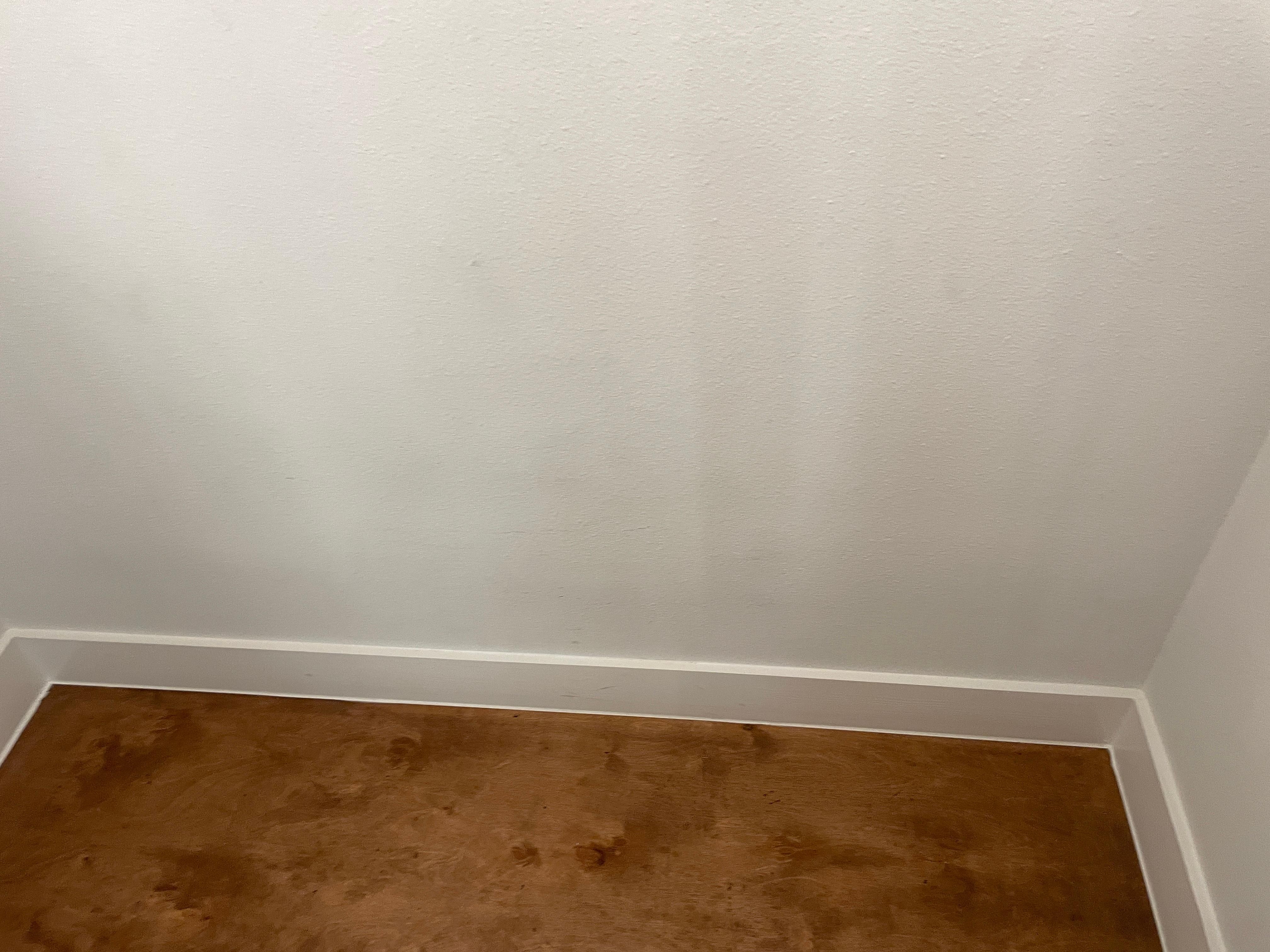 Covering up mold on walls?