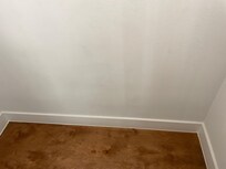 Covering up mold on walls?