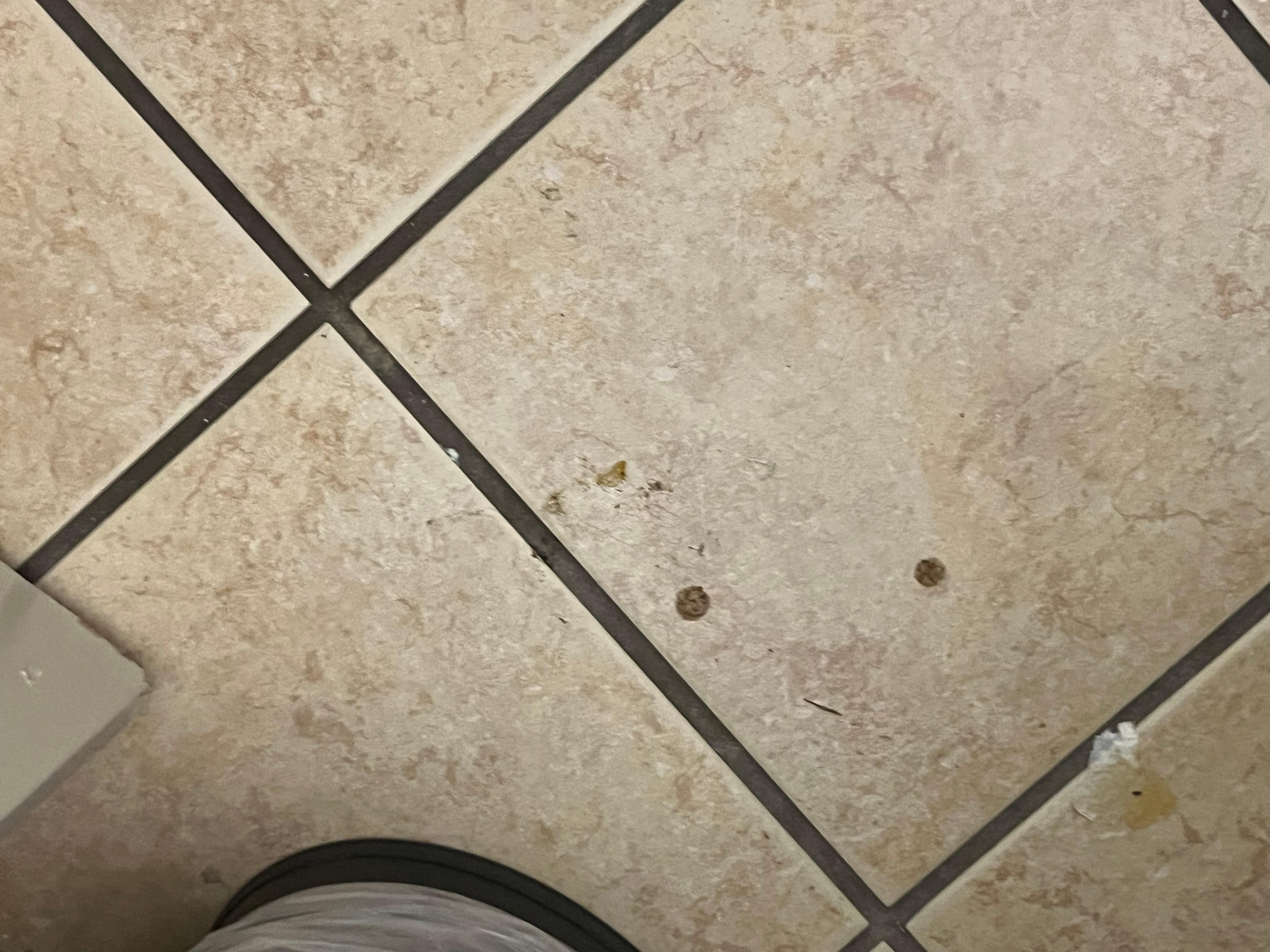 Looks like dried blood