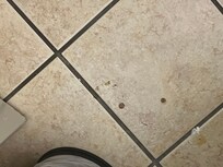 Looks like dried blood