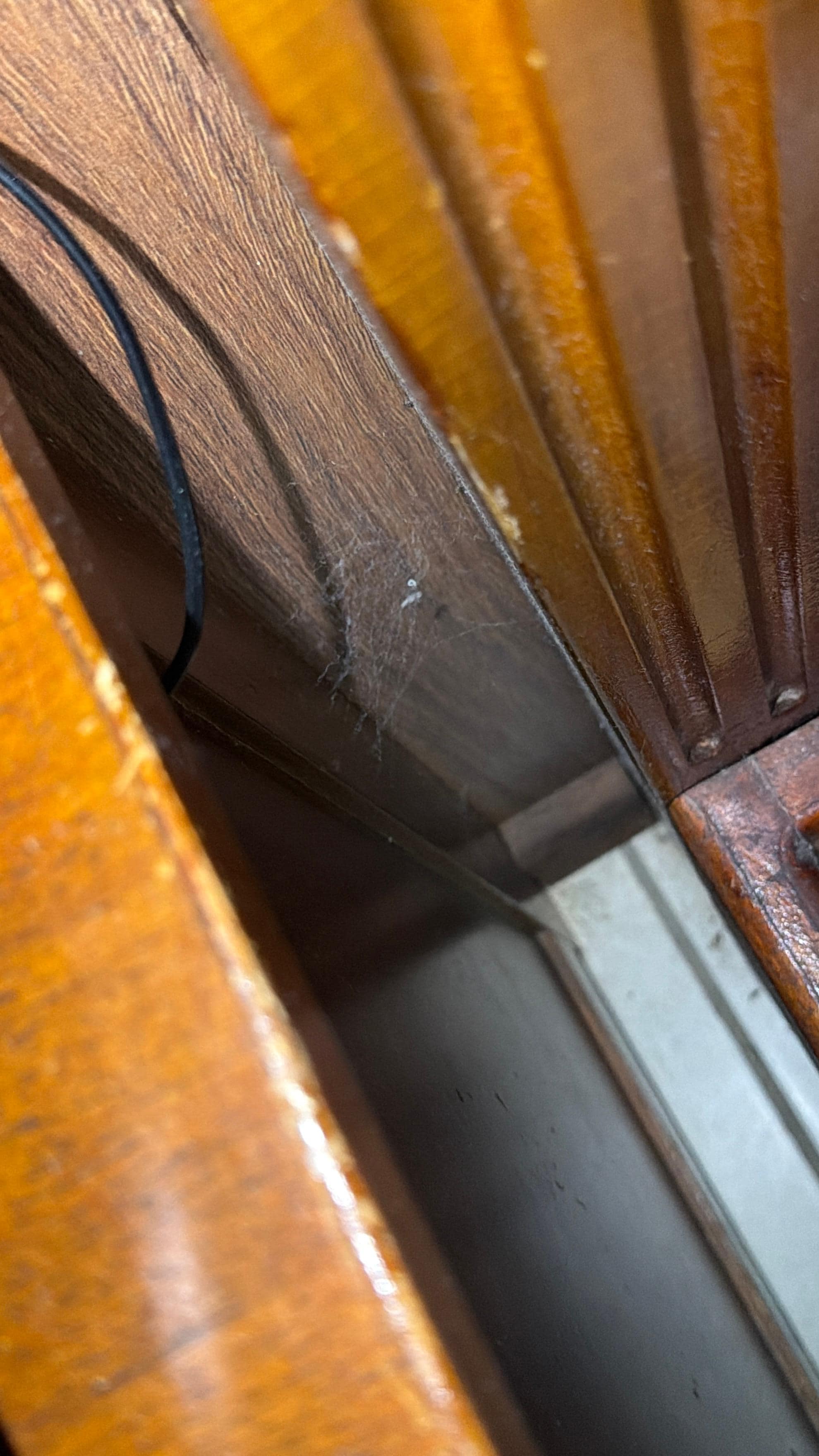 Spiderwebs on the nightstand