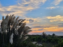 From the deck.