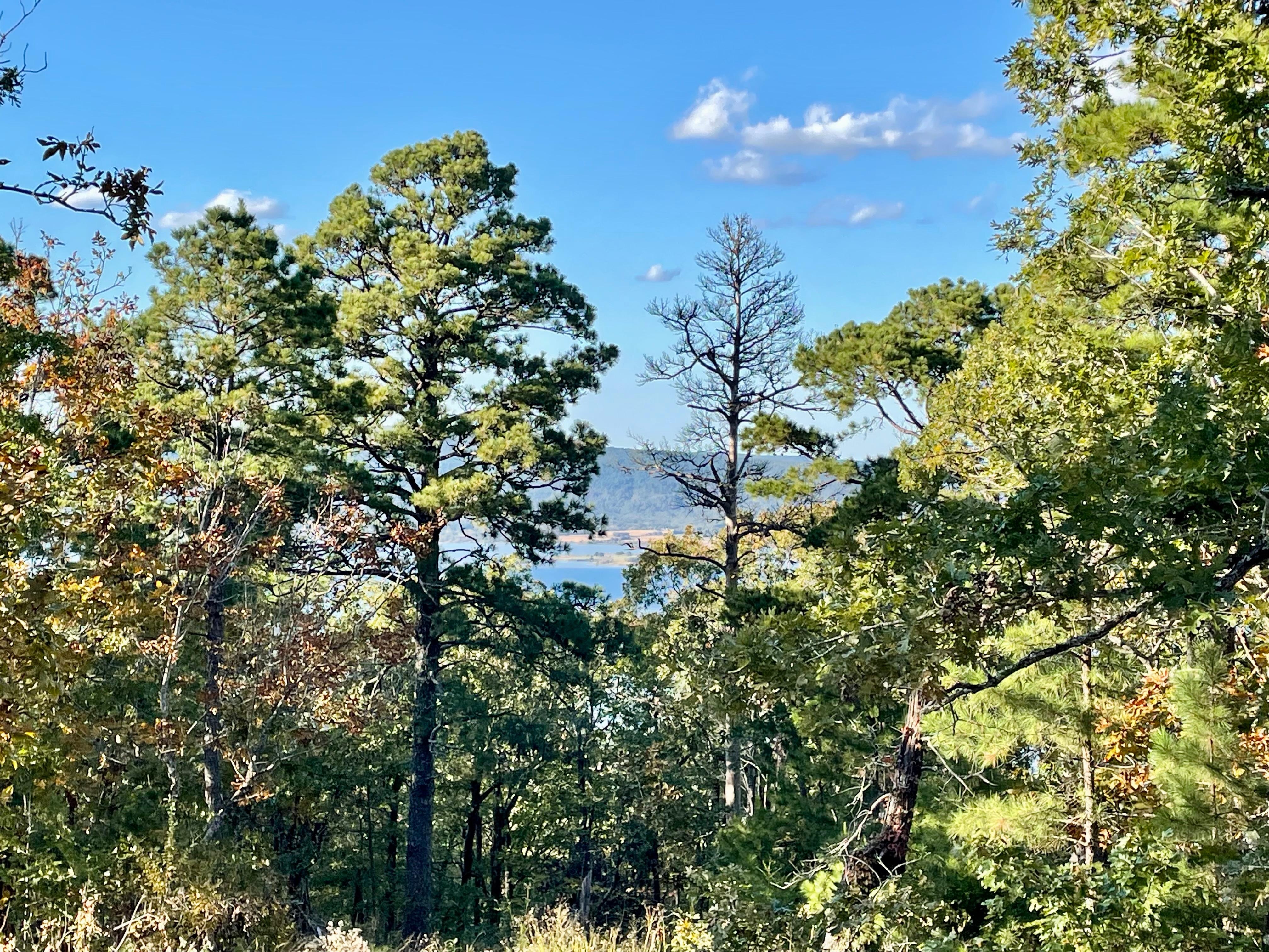 View from the property.